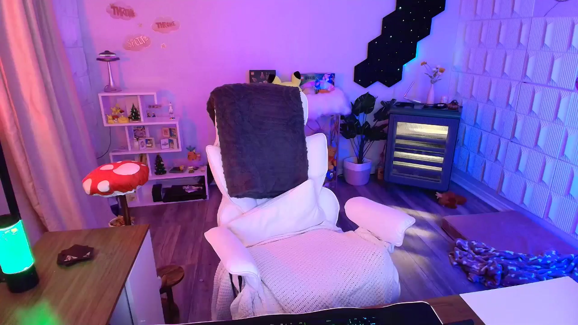Gallery image thumbnail from kaydolll's myfreecams stream on, 01/11/2026, 08:57 image 11 of 20