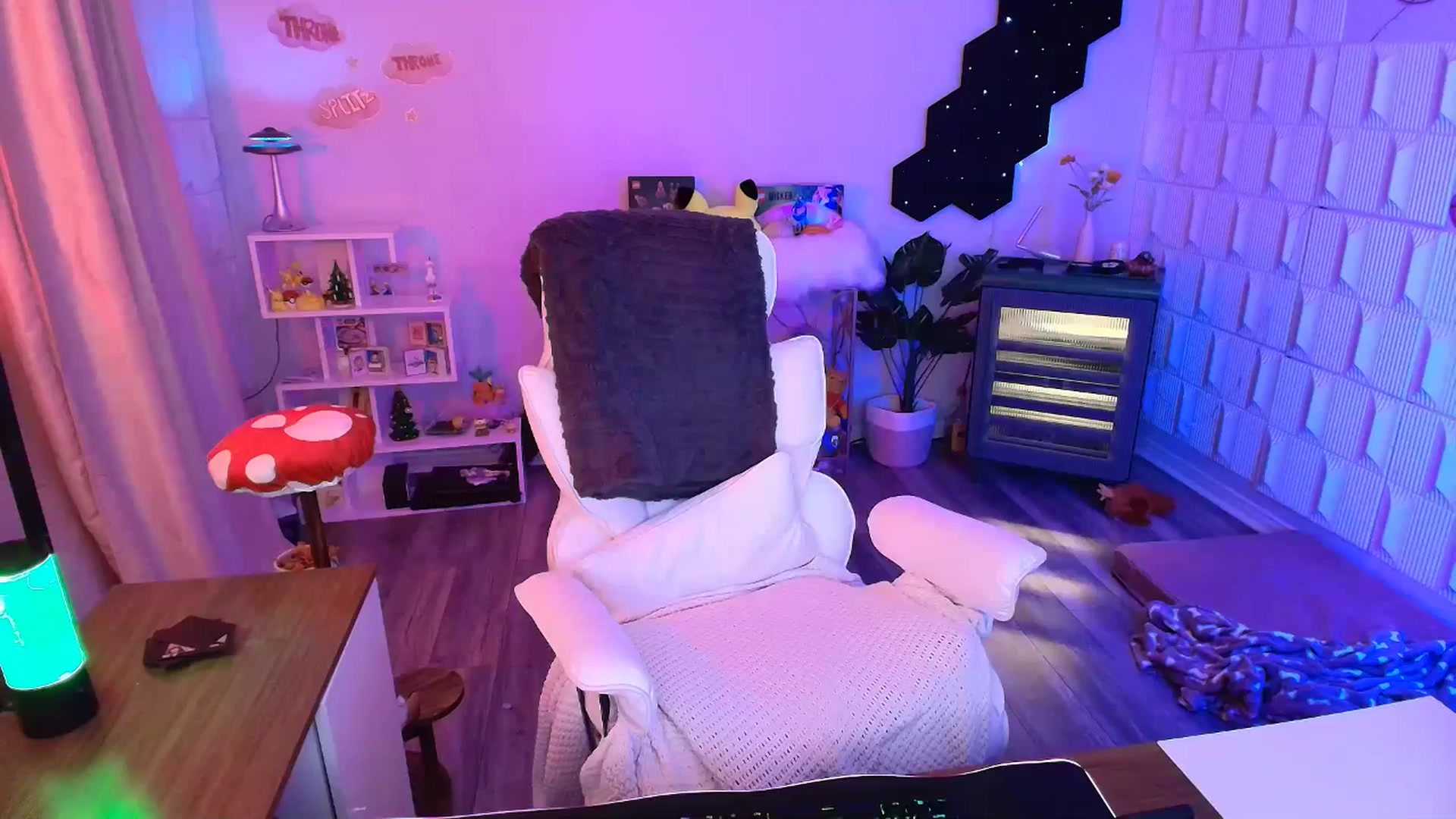 Gallery image thumbnail from kaydolll's myfreecams stream on, 01/11/2026, 08:57 image 12 of 20