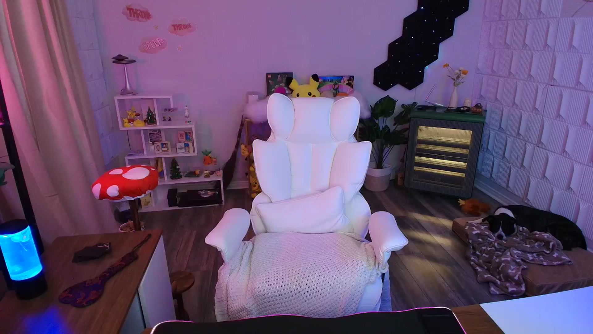 Gallery image thumbnail from kaydolll's myfreecams stream on, 01/30/2026, 06:42 image 5 of 20