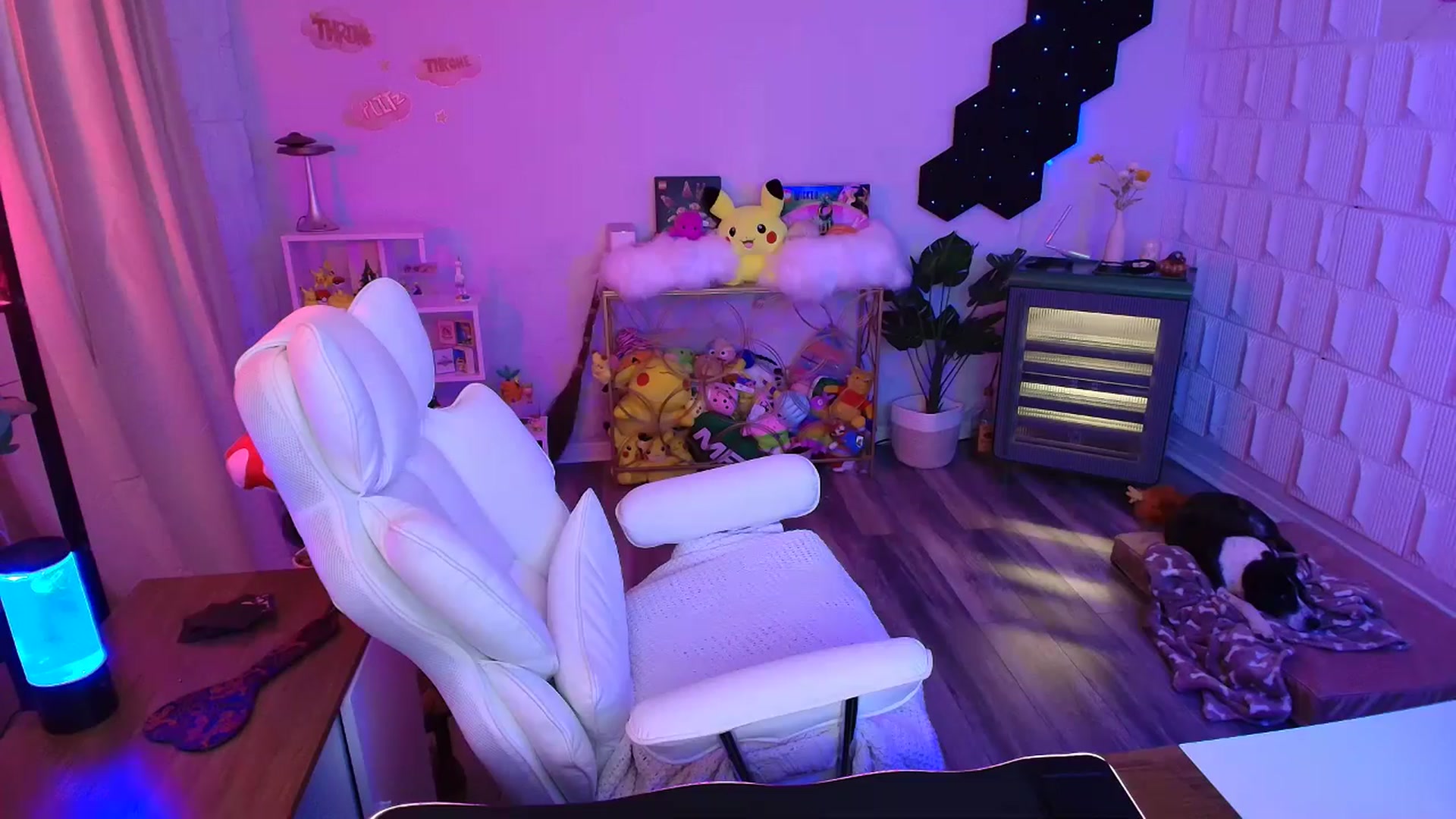 Gallery image thumbnail from kaydolll's myfreecams stream on, 01/30/2026, 06:42 image 20 of 20