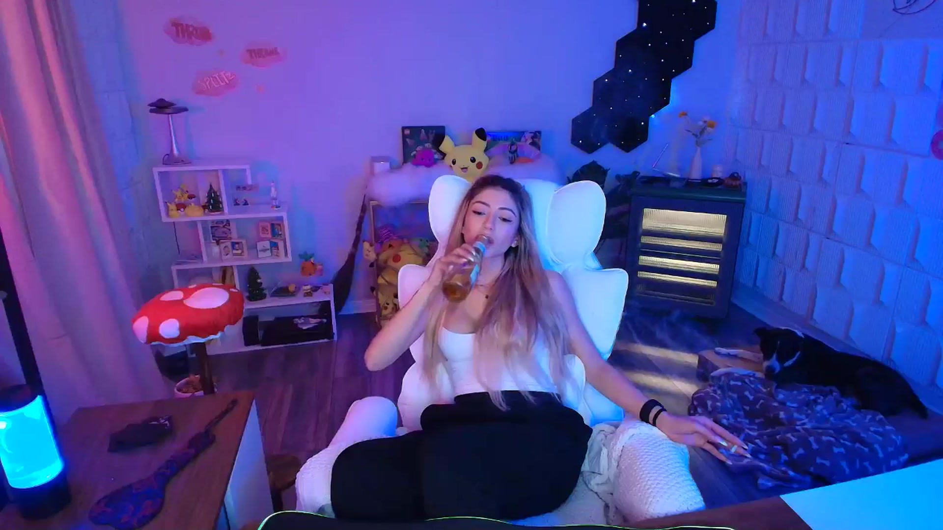 Gallery image thumbnail from kaydolll's myfreecams stream on, 02/02/2026, 06:41 image 19 of 20