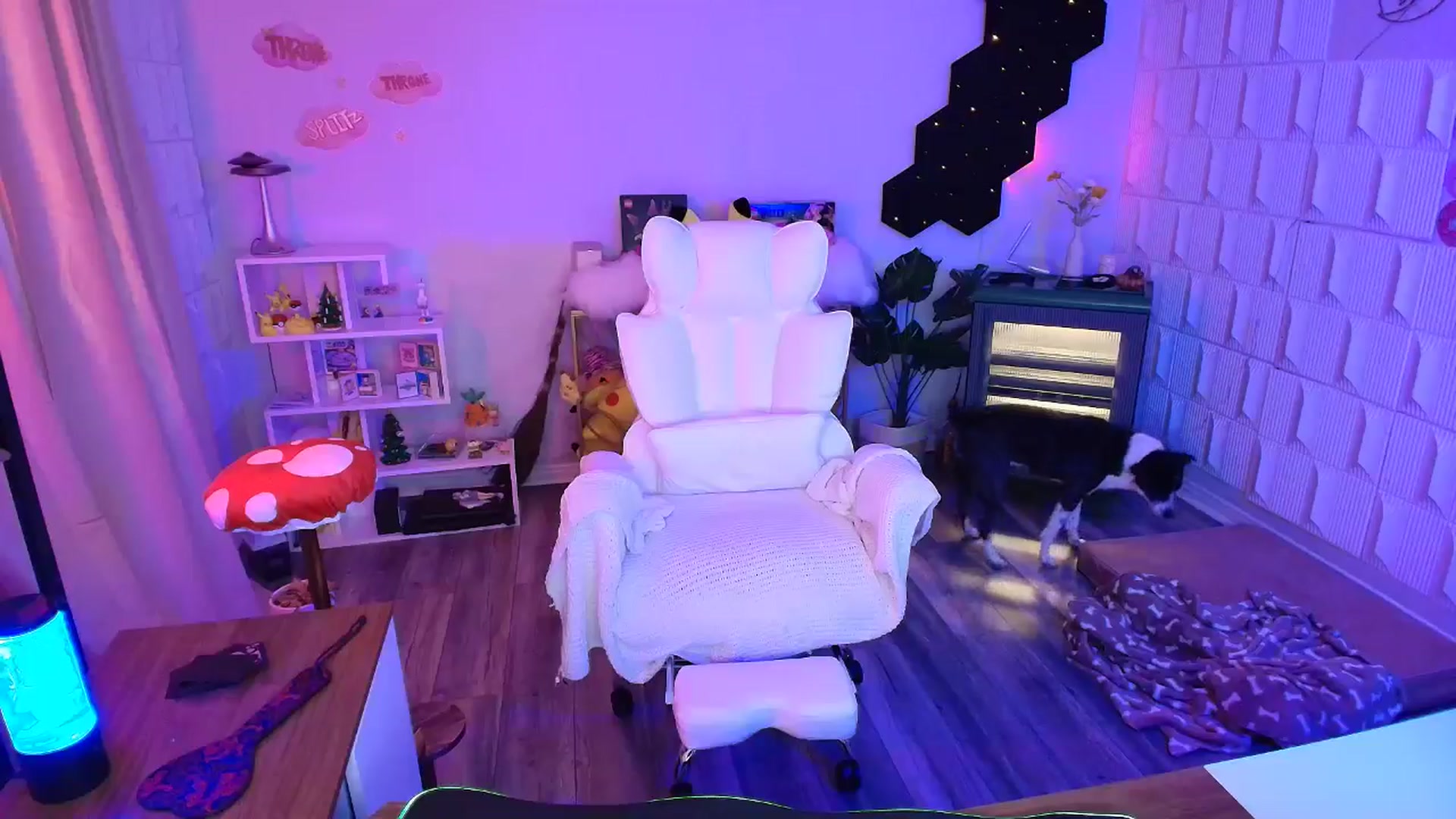 Gallery image thumbnail from kaydolll's myfreecams stream on, 02/02/2026, 06:41 image 2 of 20