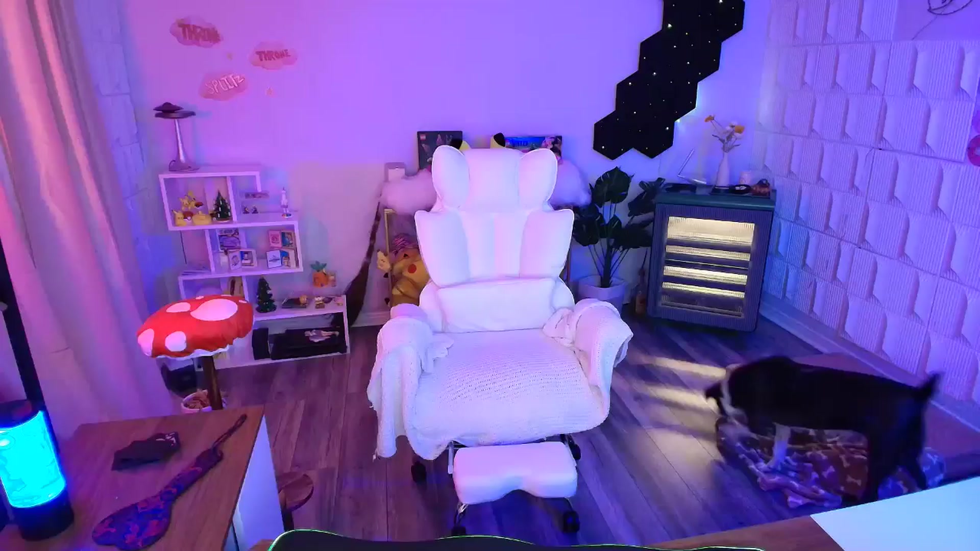 Gallery image thumbnail from kaydolll's myfreecams stream on, 02/02/2026, 06:41 image 1 of 20