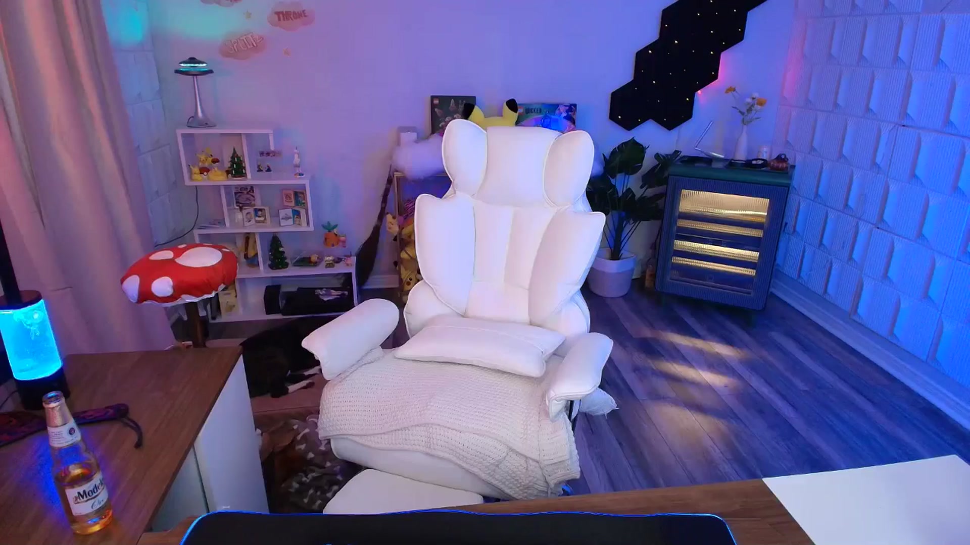 Gallery image thumbnail from kaydolll's myfreecams stream on, 02/12/2026, 04:59 image 15 of 20