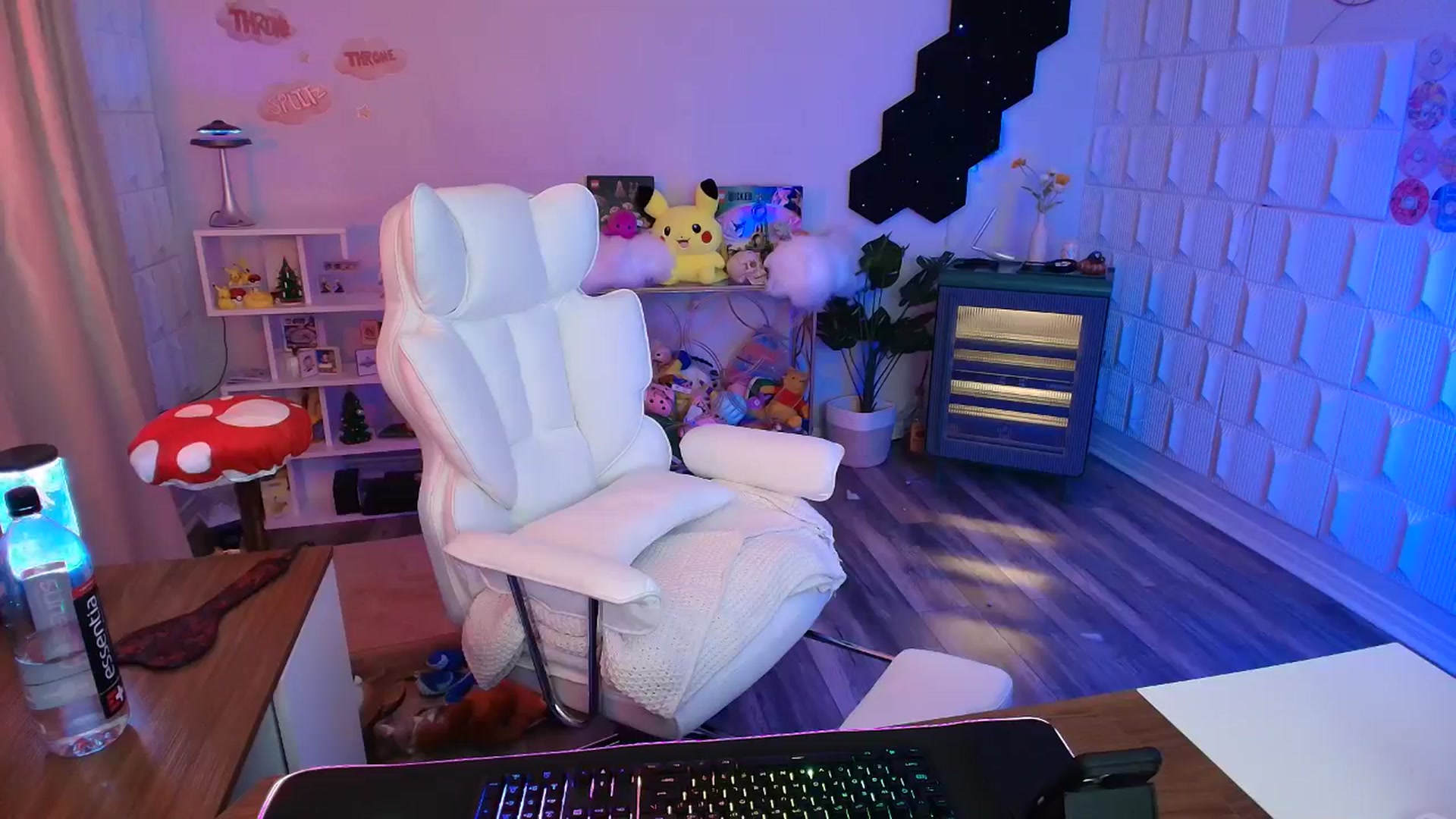 Gallery image thumbnail from kaydolll's myfreecams stream on, 02/25/2026, 05:18 image 17 of 20