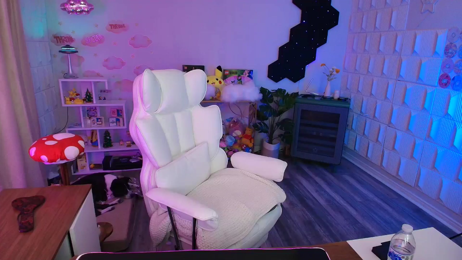 Gallery image thumbnail from kaydolll's myfreecams stream on, 03/14/2026, 23:27 image 20 of 20