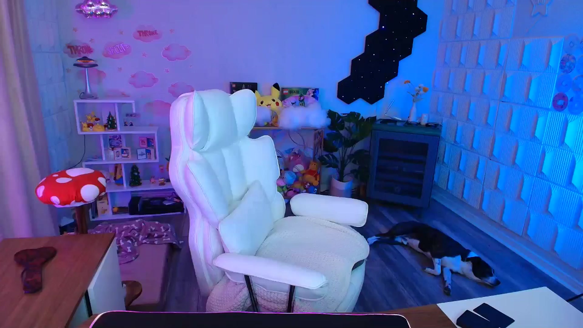 Gallery image thumbnail from kaydolll's myfreecams stream on, 03/14/2026, 23:27 image 7 of 20