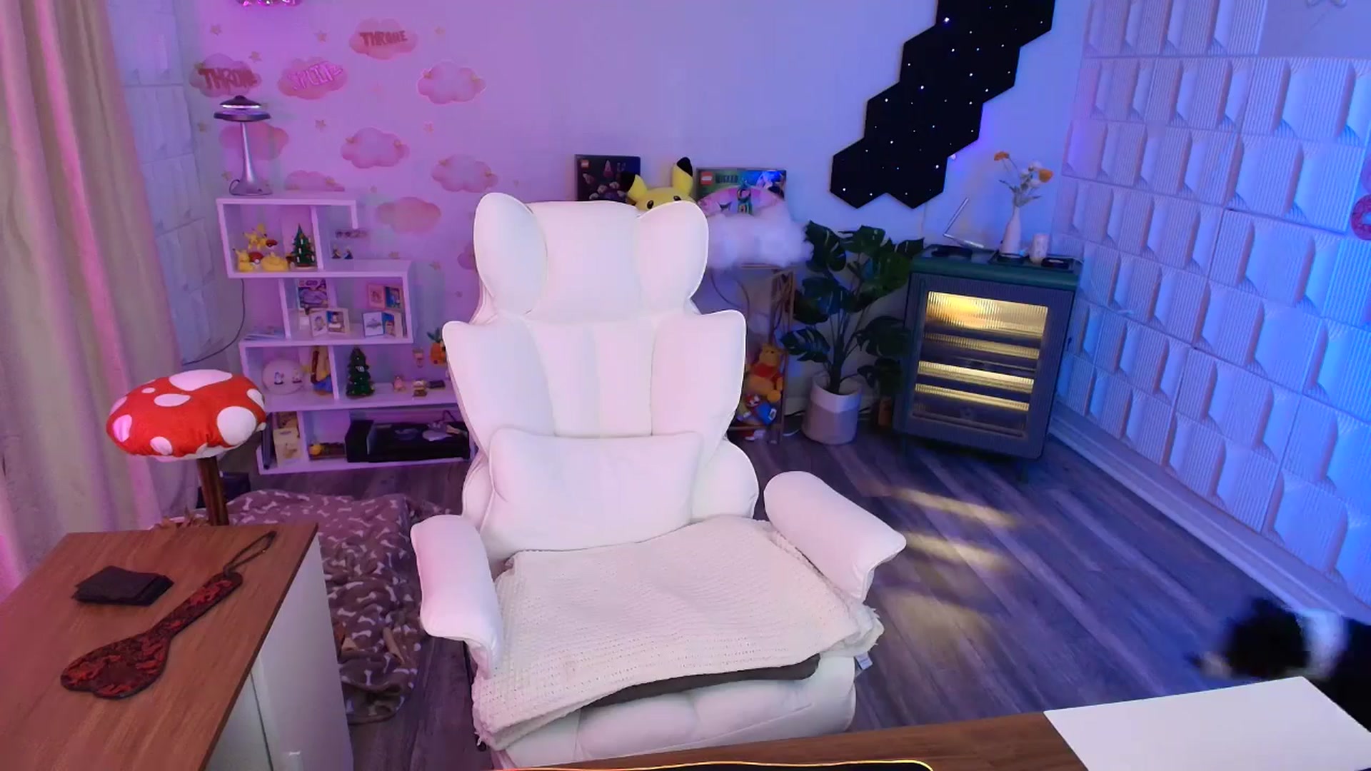 Gallery image thumbnail from kaydolll's myfreecams stream on, 04/01/2026, 06:16 image 11 of 20