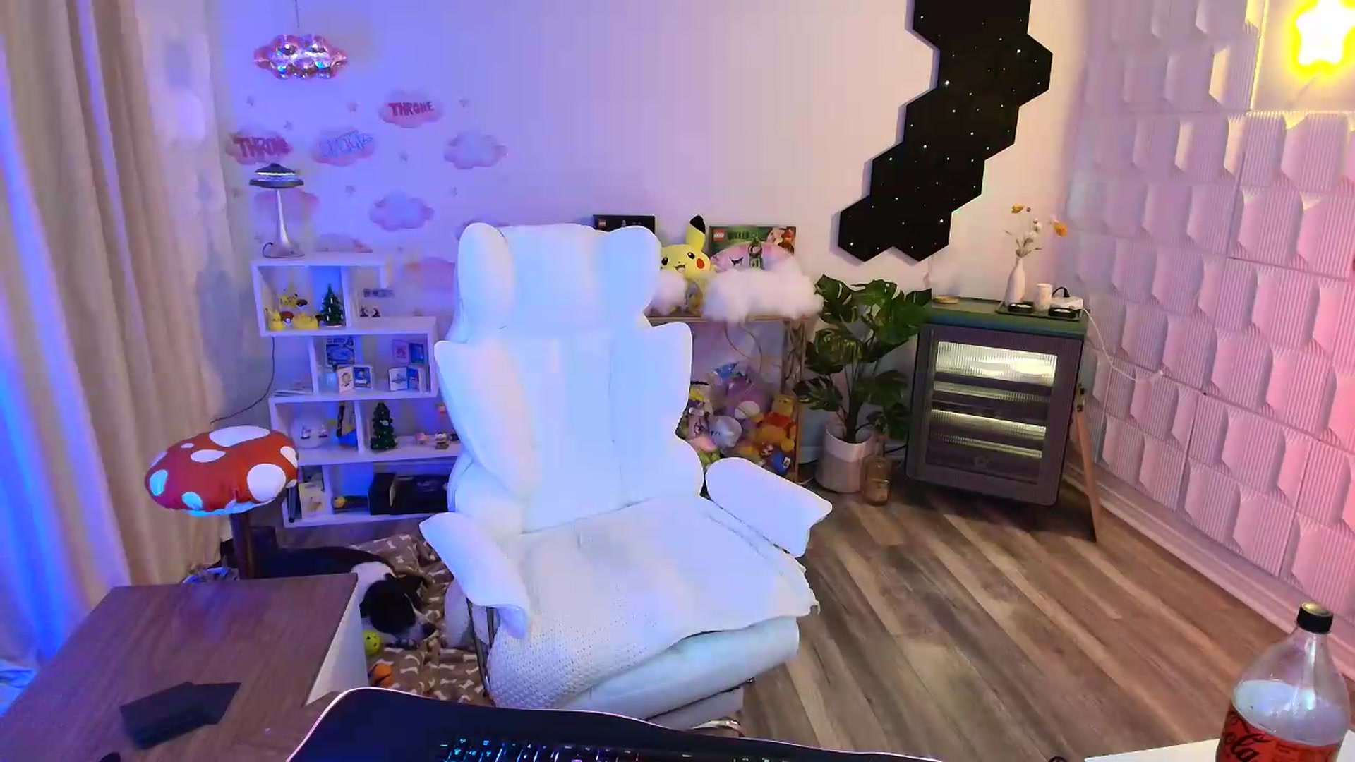 Gallery image thumbnail from kaydolll's myfreecams stream on, 05/01/2026, 05:19 image 20 of 20