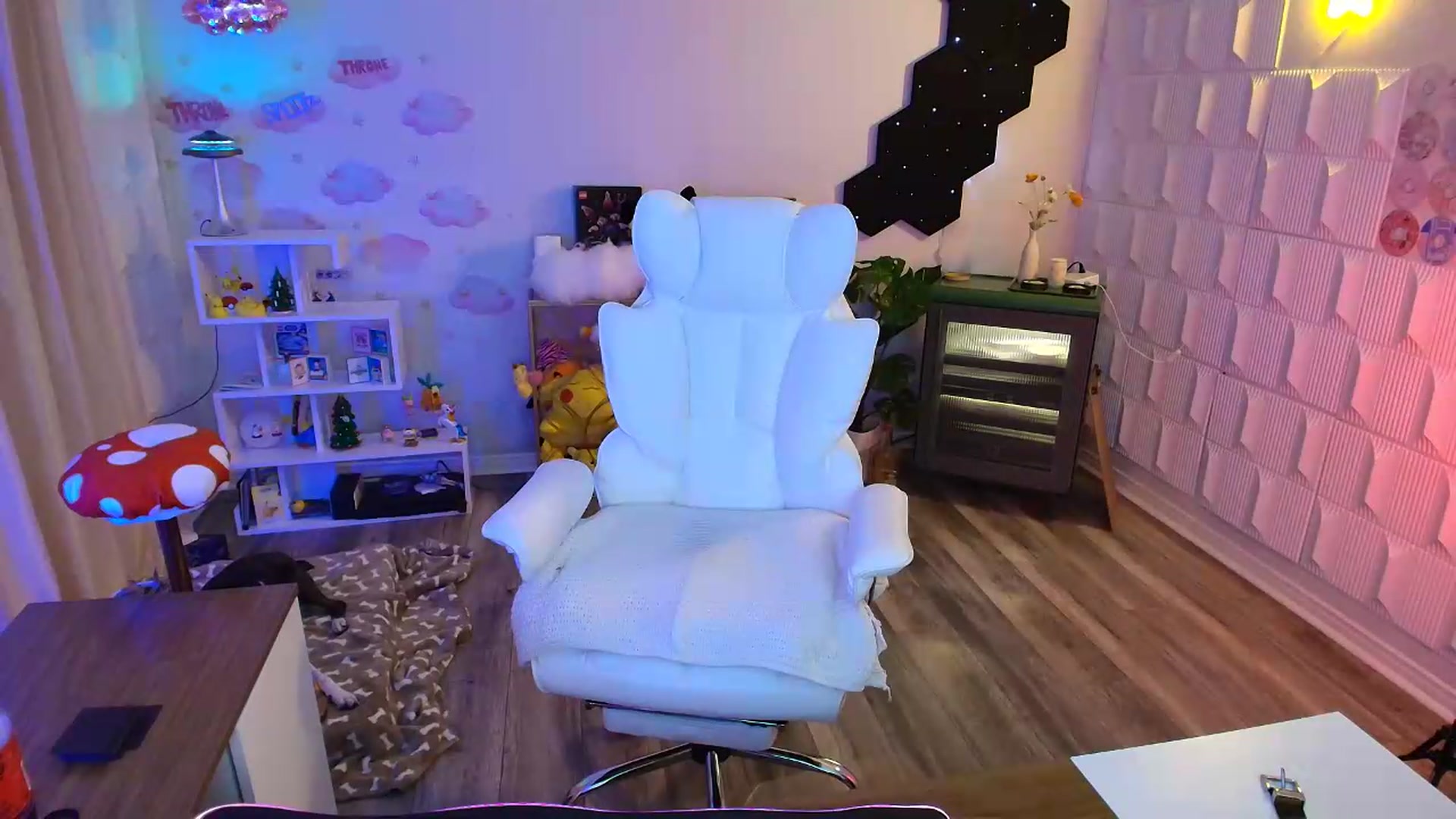 Gallery image thumbnail from kaydolll's myfreecams stream on, 05/01/2026, 05:19 image 13 of 20