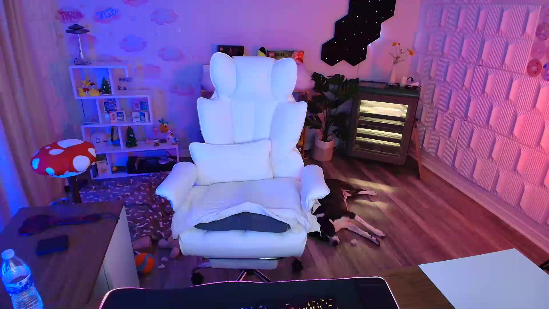 Gallery image thumbnail from kaydolll's myfreecams stream on, 05/15/2026, 07:18 image 10 of 20