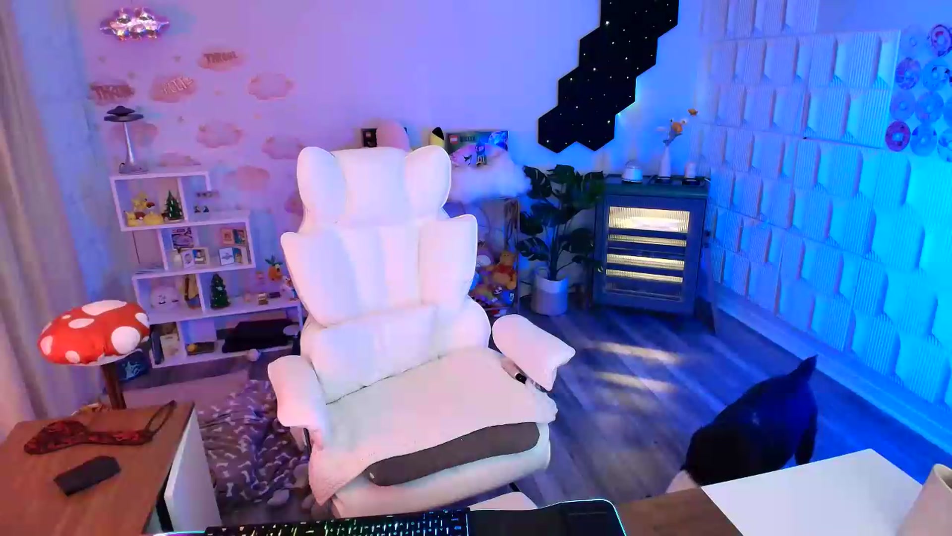 Gallery image thumbnail from kaydolll's myfreecams stream on, 06/11/2026, 09:57 image 15 of 20