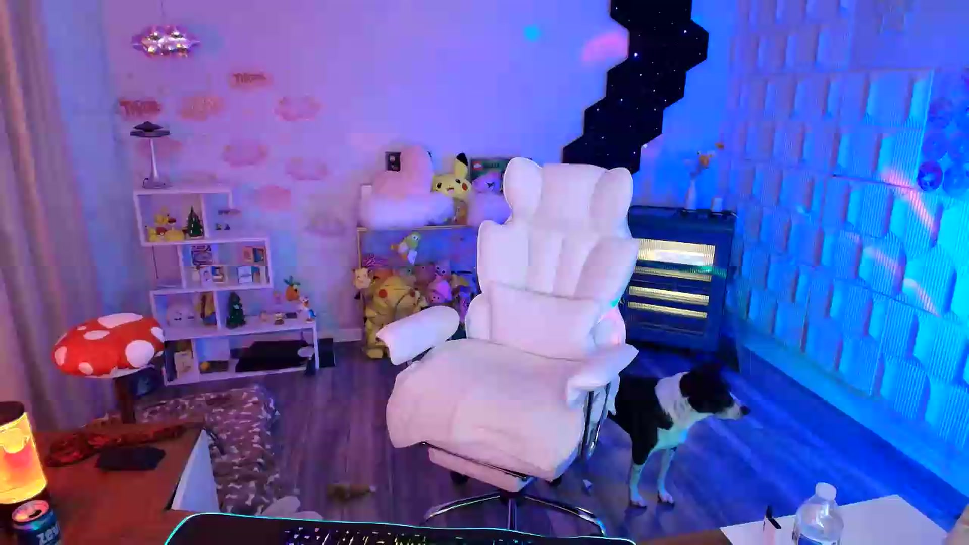 Gallery image thumbnail from kaydolll's myfreecams stream on, 06/12/2026, 07:44 image 17 of 20