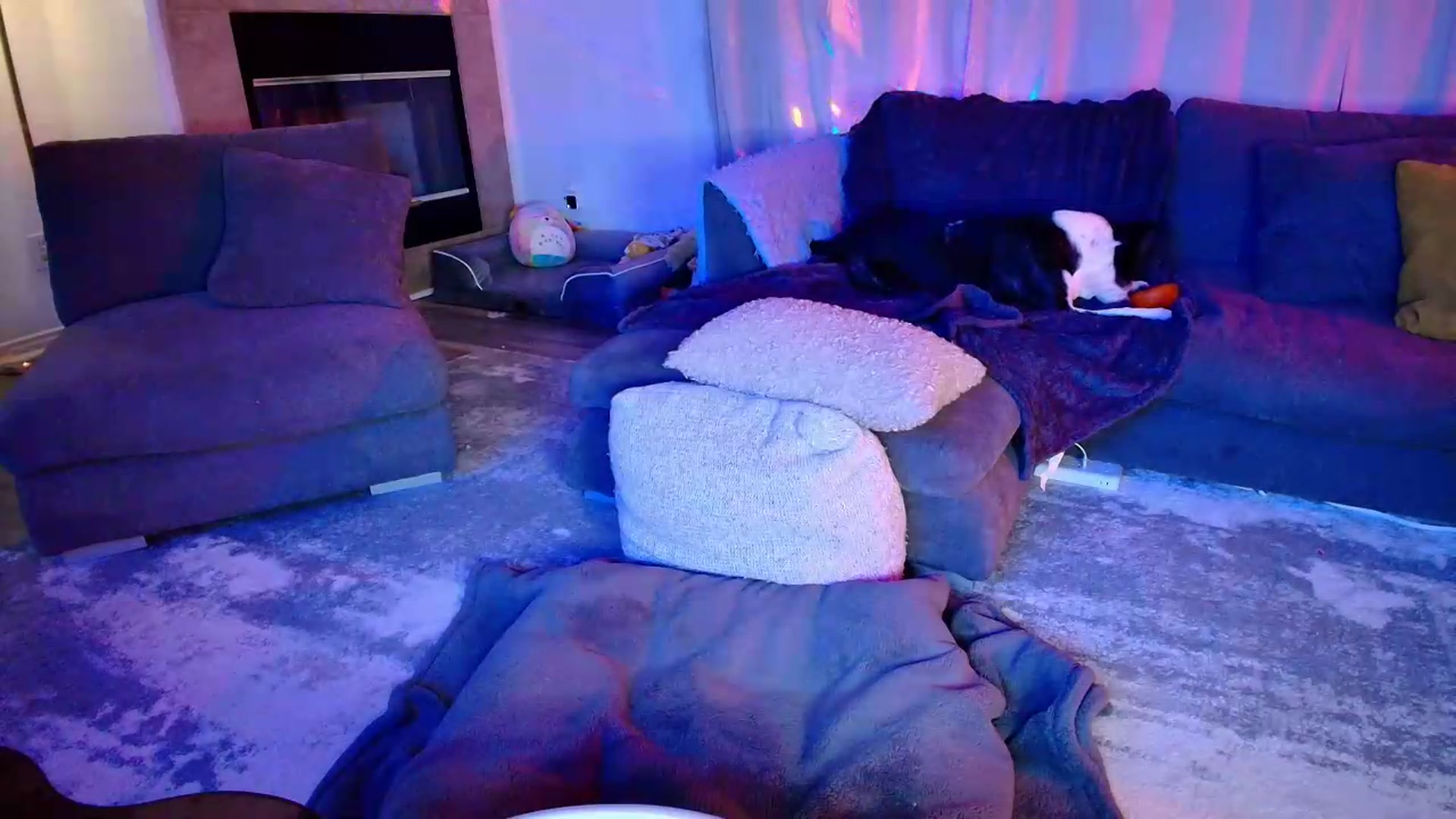 Gallery image thumbnail from kaydolll's myfreecams stream on, 06/13/2026, 08:15 image 9 of 20