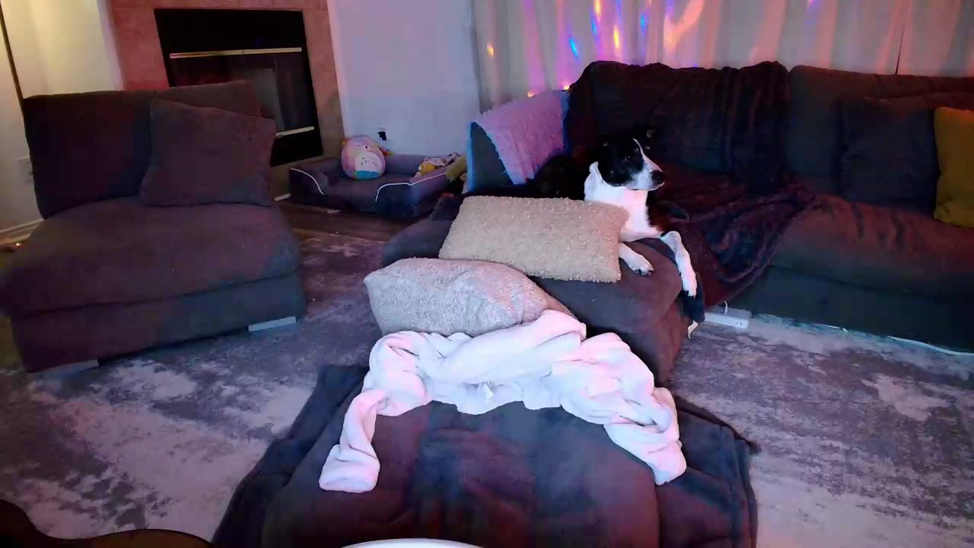 Gallery image thumbnail from kaydolll's myfreecams stream on, 06/13/2026, 08:15 image 15 of 20