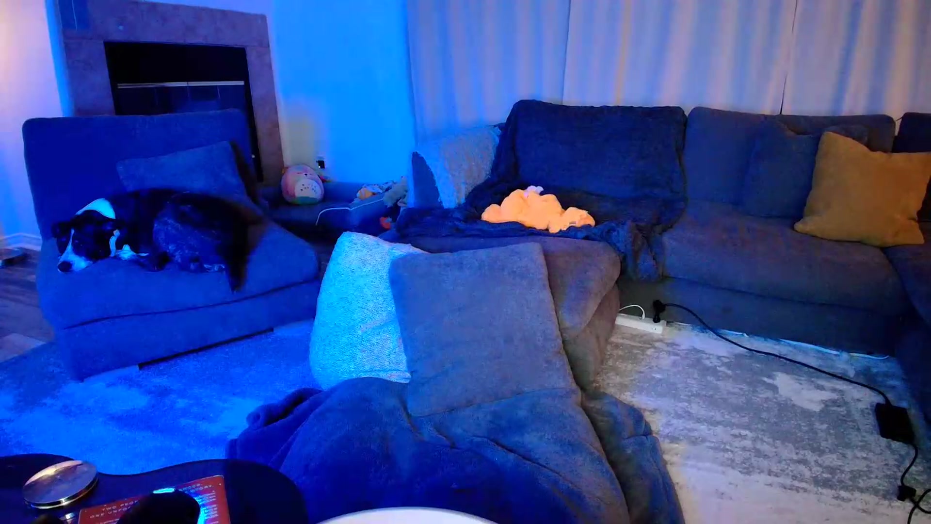 Gallery image thumbnail from kaydolll's myfreecams stream on, 06/15/2026, 07:43 image 20 of 20