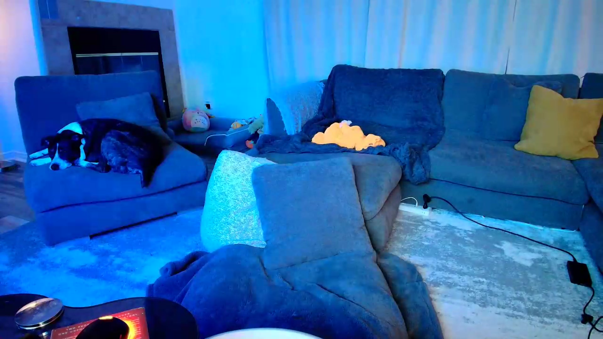 Gallery image thumbnail from kaydolll's myfreecams stream on, 06/15/2026, 07:43 image 19 of 20