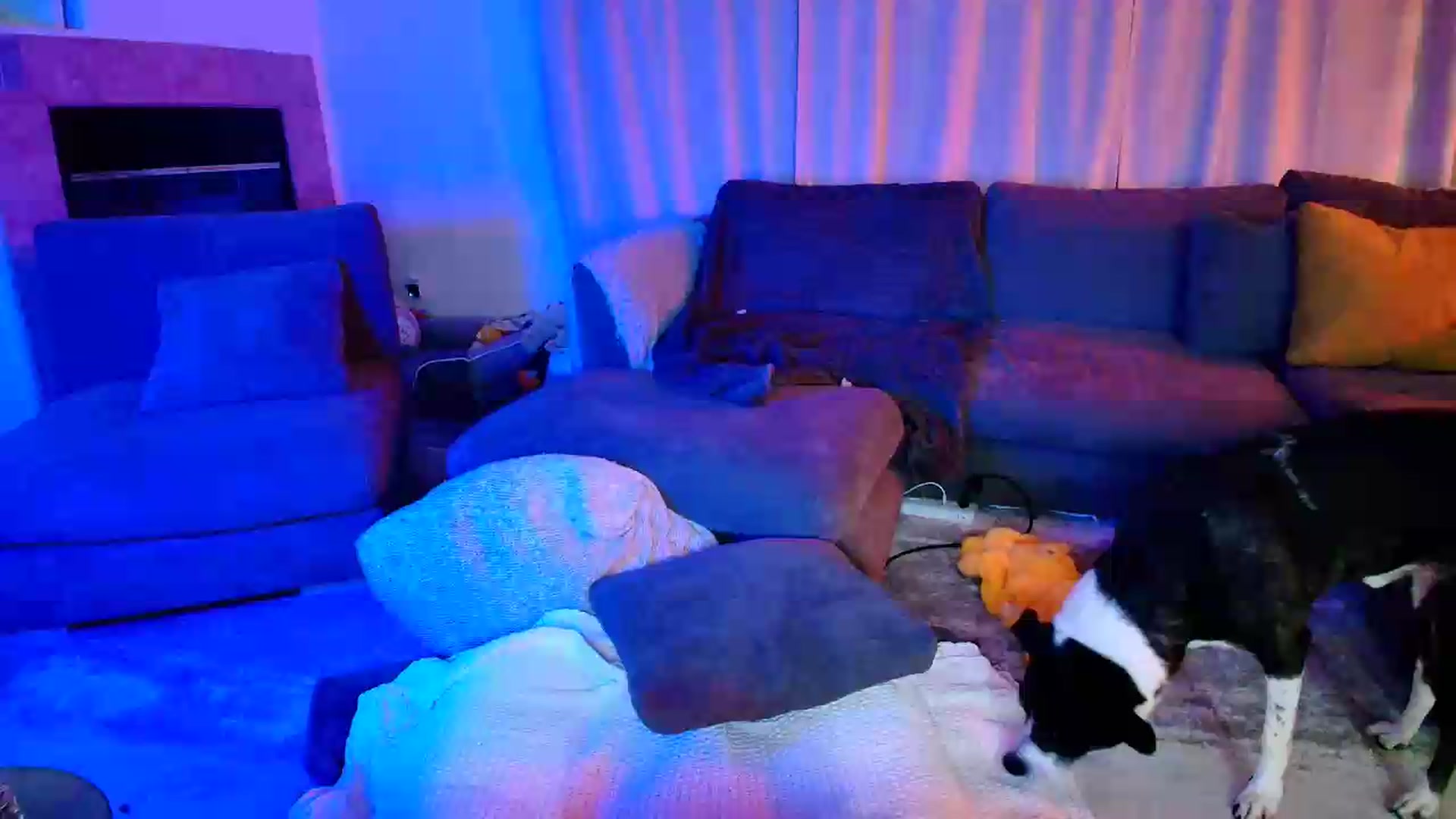 Gallery image thumbnail from kaydolll's myfreecams stream on, 06/16/2026, 03:19 image 1 of 20