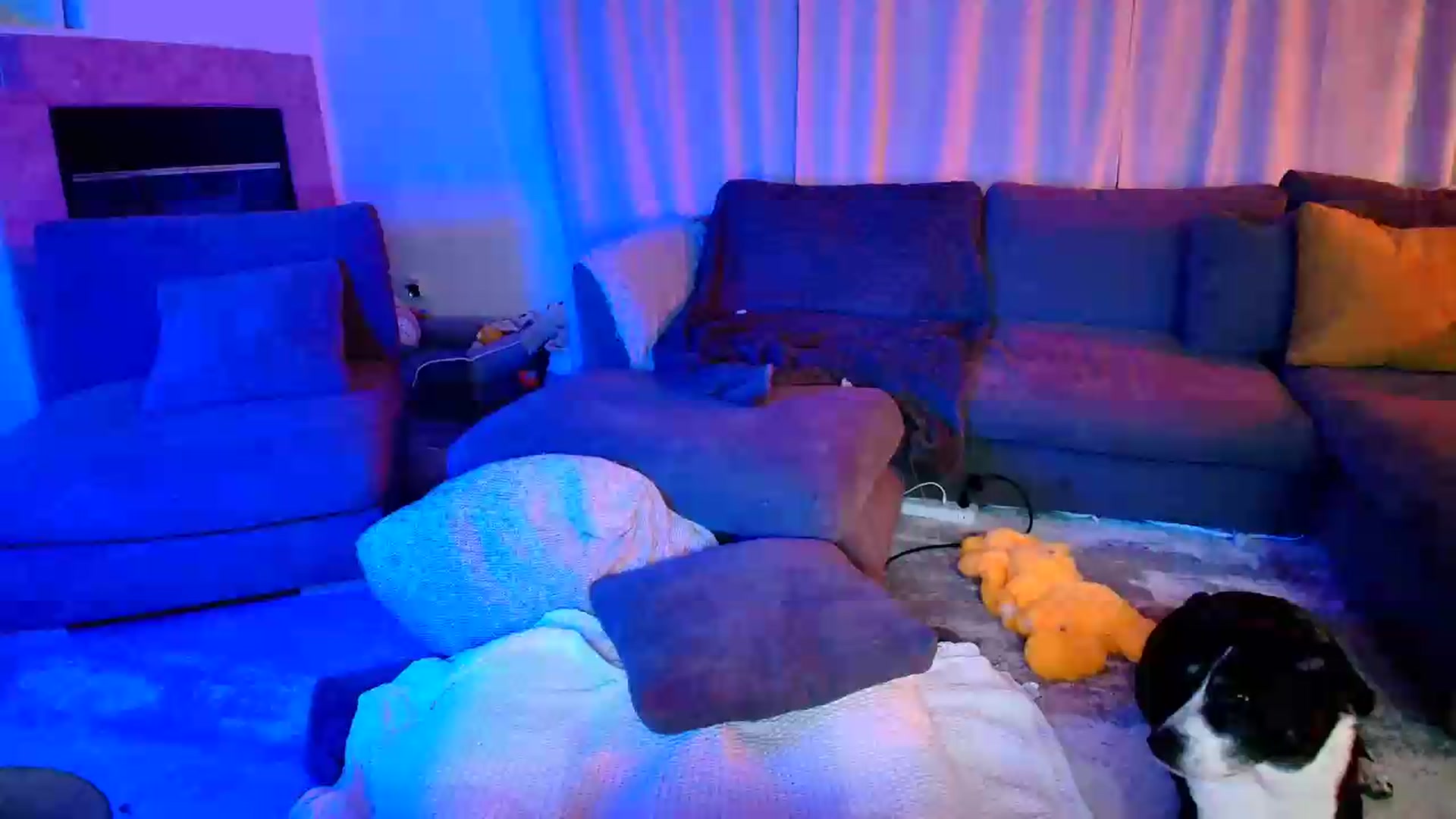 Gallery image thumbnail from kaydolll's myfreecams stream on, 06/16/2026, 03:19 image 2 of 20