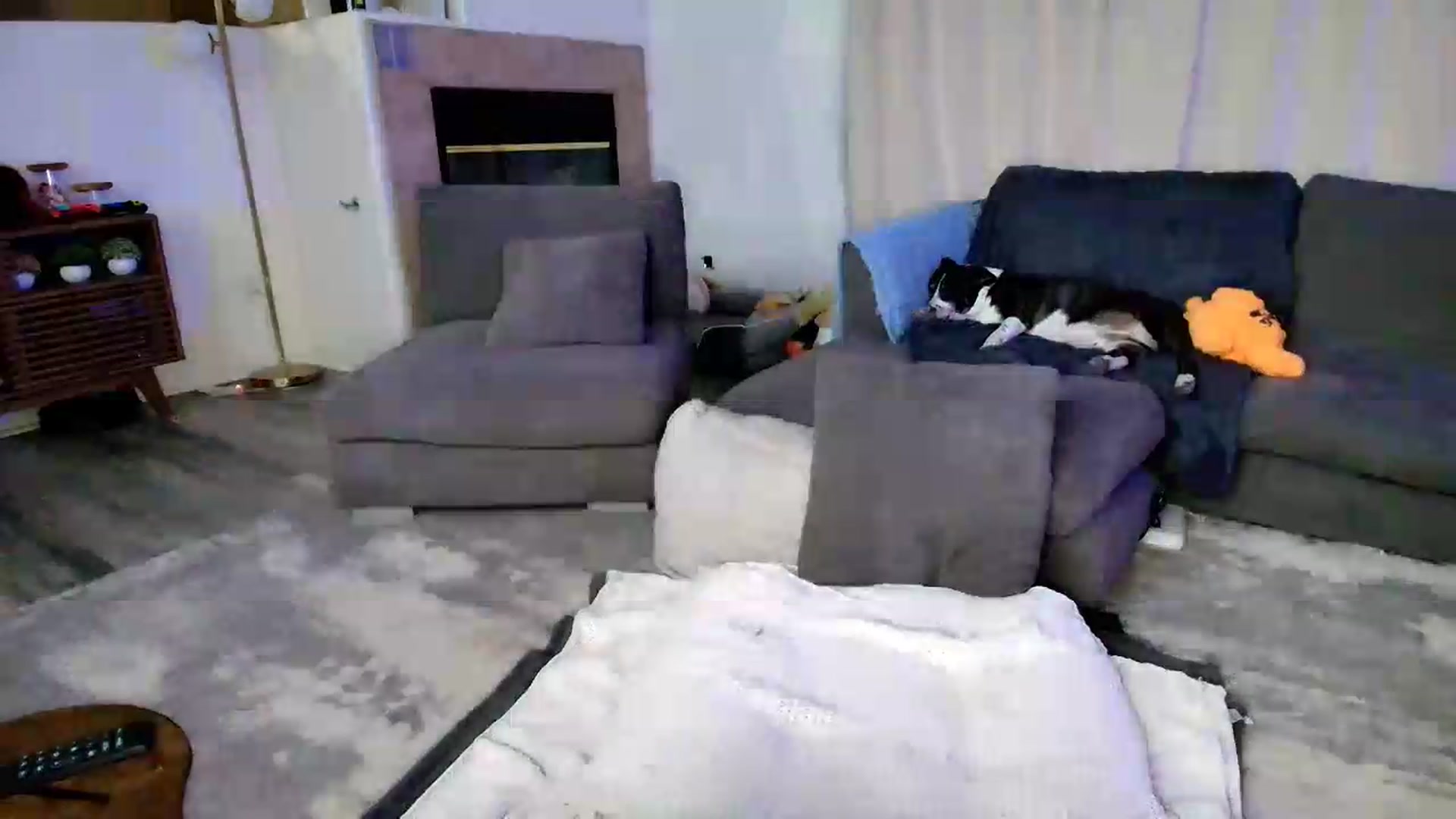 Gallery image thumbnail from kaydolll's myfreecams stream on, 06/16/2026, 08:08 image 16 of 20