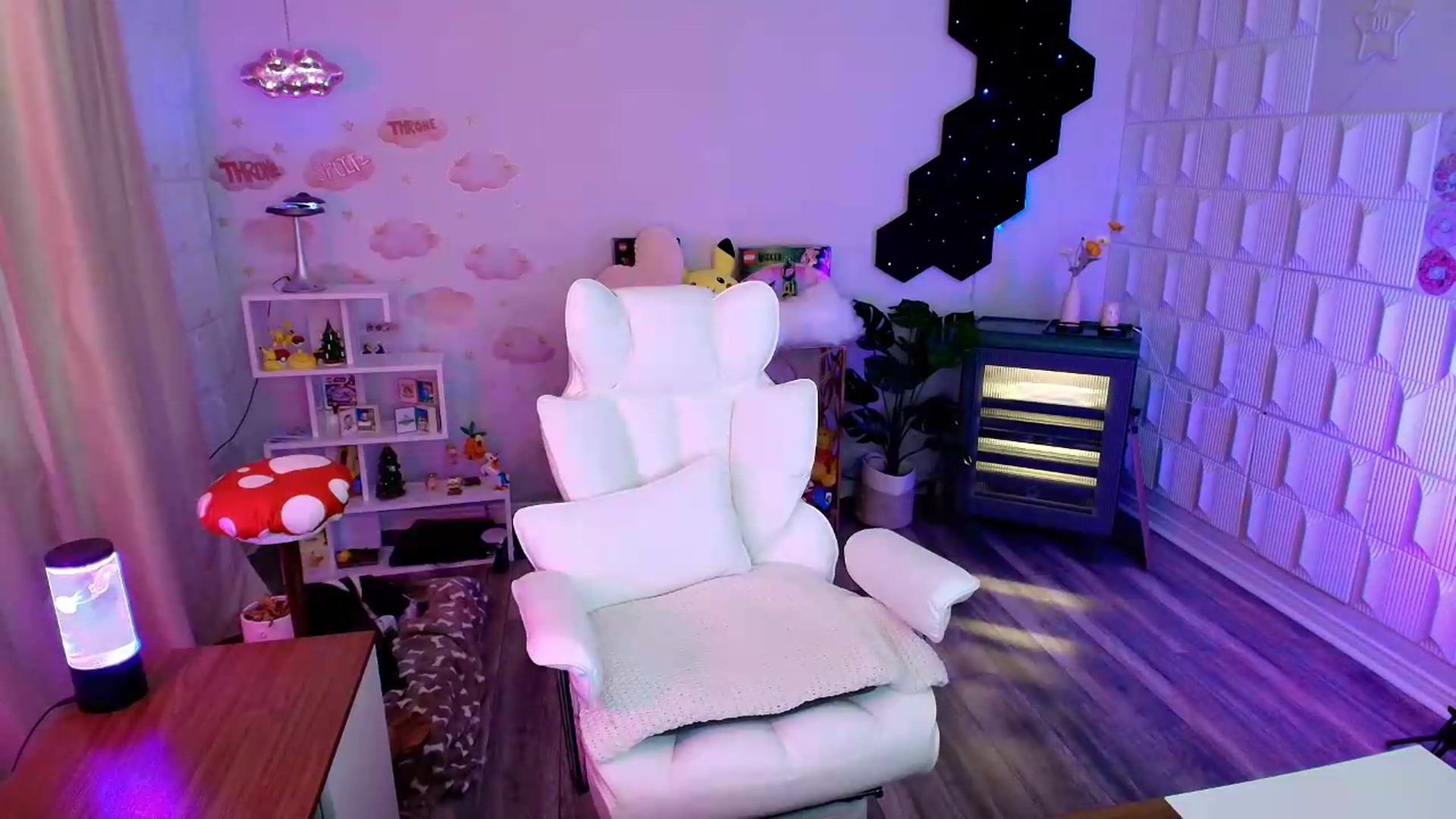 Gallery image thumbnail from kaydolll's myfreecams stream on, 06/20/2026, 01:35 image 13 of 20