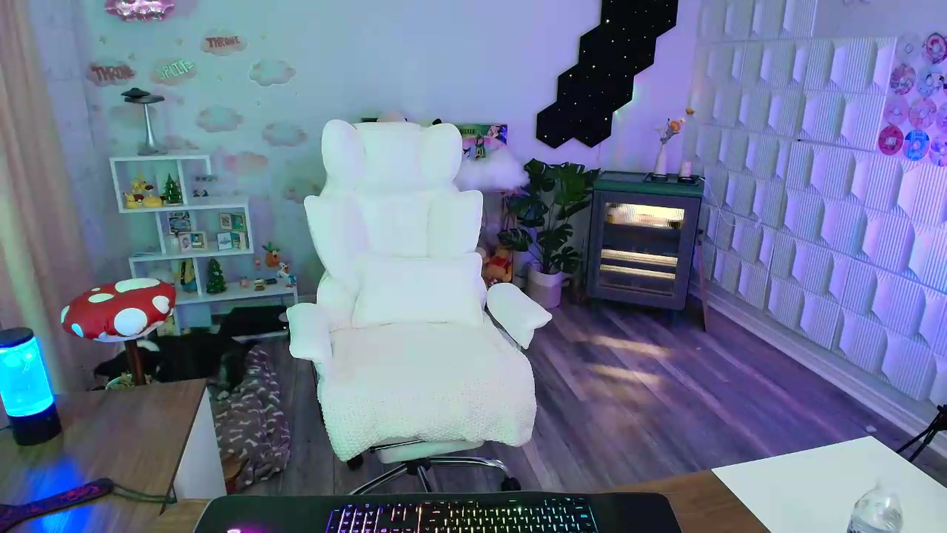 Gallery image thumbnail from kaydolll's myfreecams stream on, 06/23/2026, 02:06 image 9 of 20