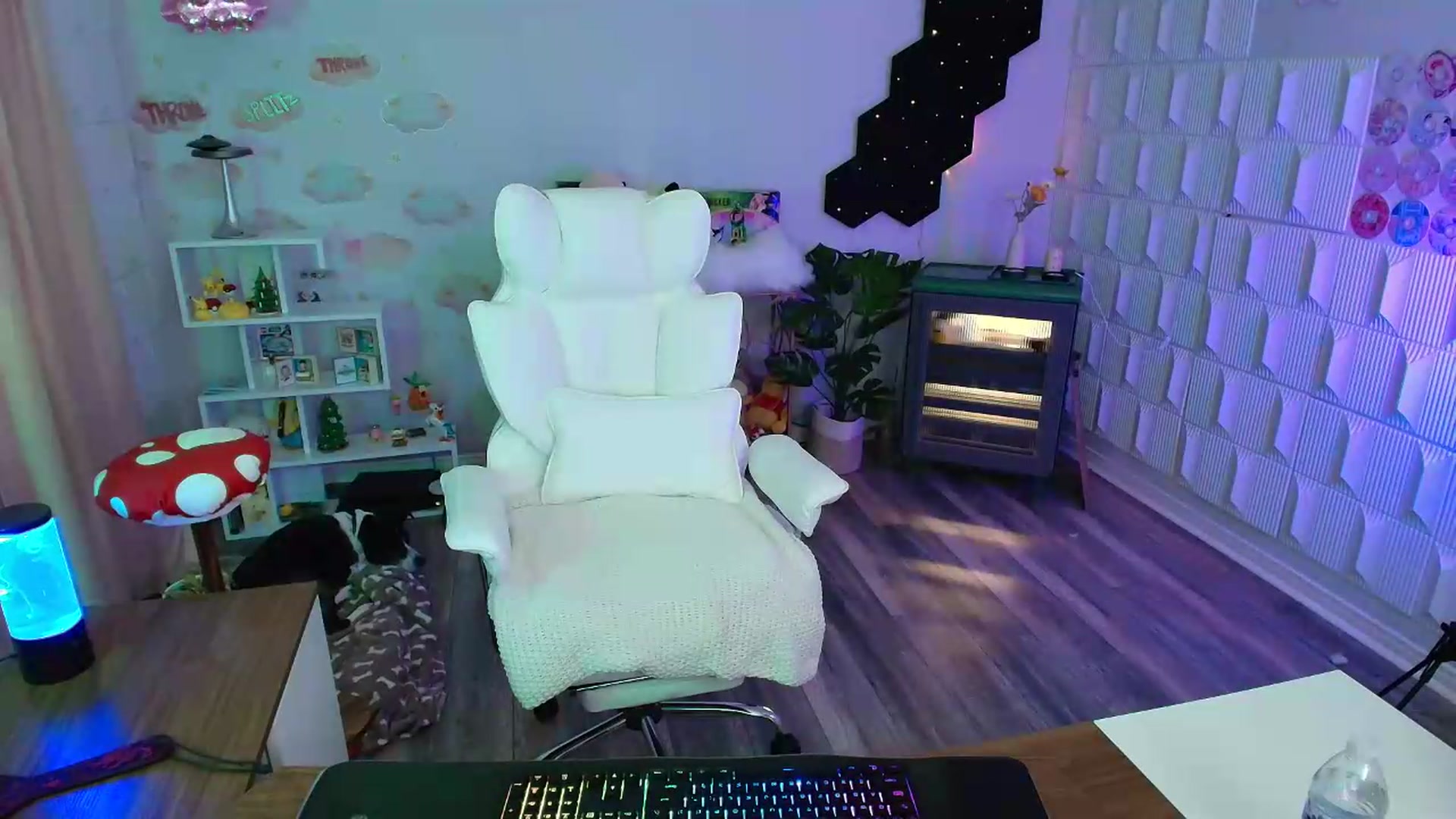 Gallery image thumbnail from kaydolll's myfreecams stream on, 06/23/2026, 02:06 image 8 of 20