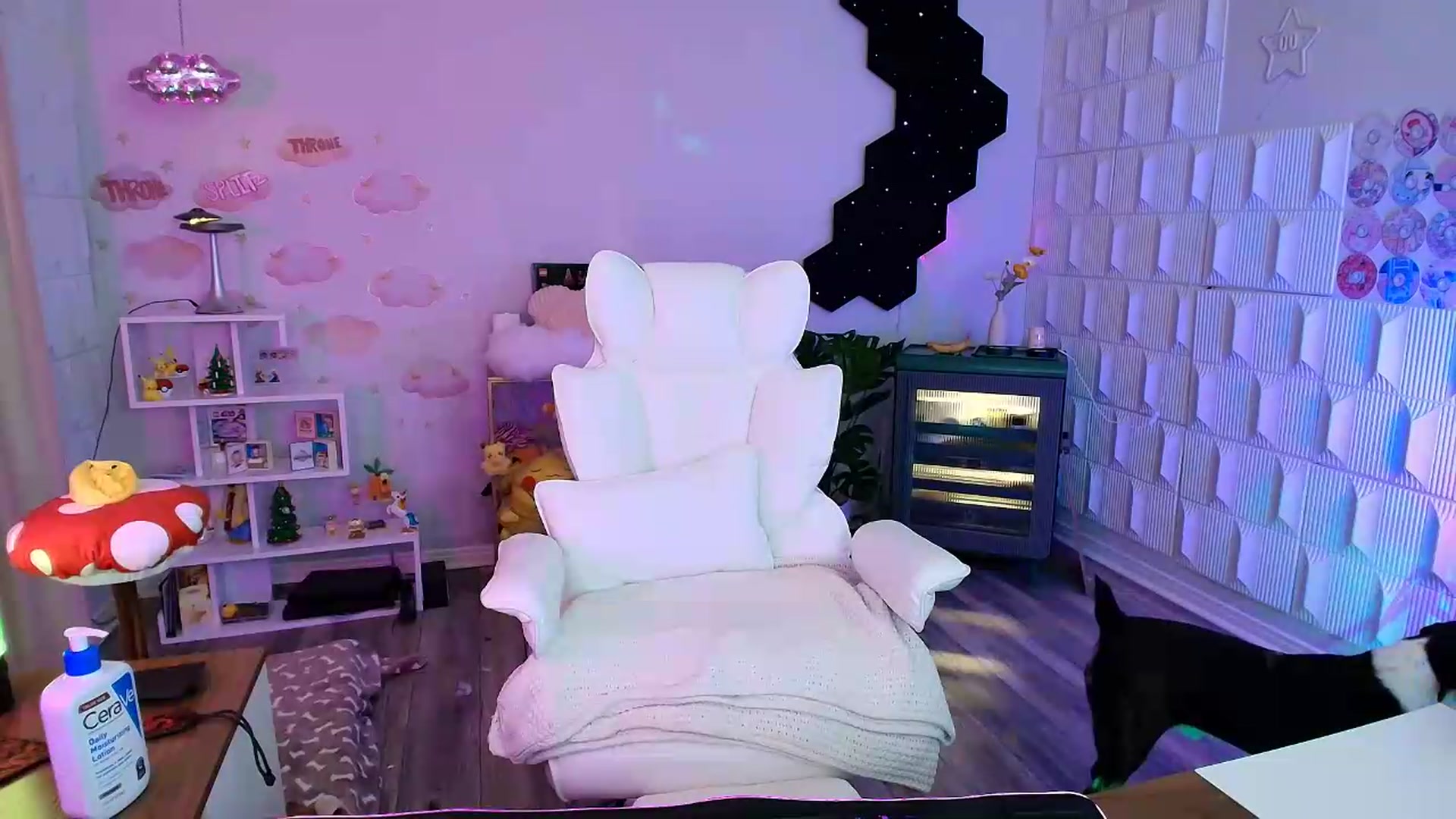 Gallery image thumbnail from kaydolll's myfreecams stream on, 07/27/2026, 08:35 image 6 of 20