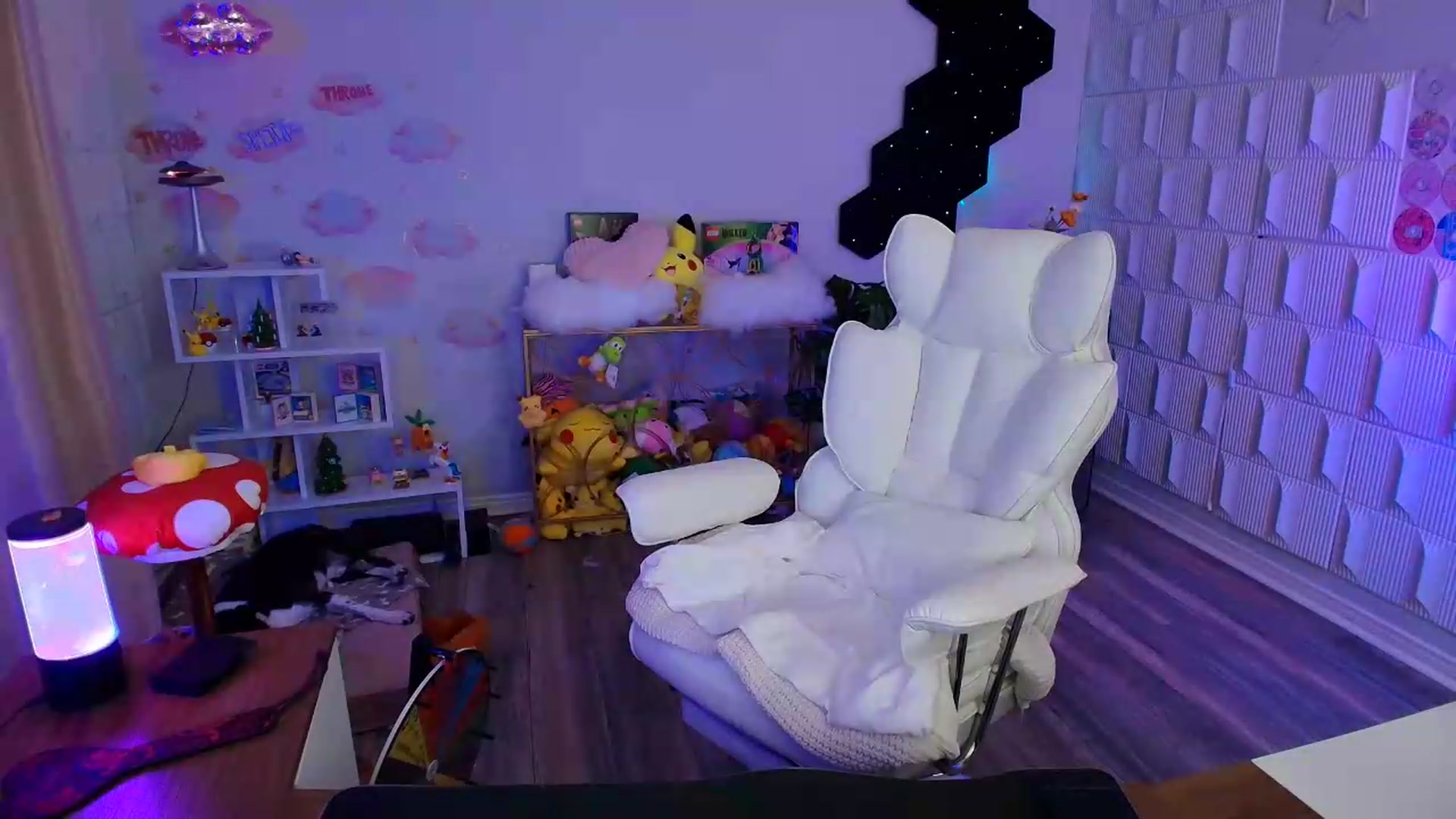 Gallery image thumbnail from kaydolll's myfreecams stream on, 08/13/2026, 01:54 image 2 of 20
