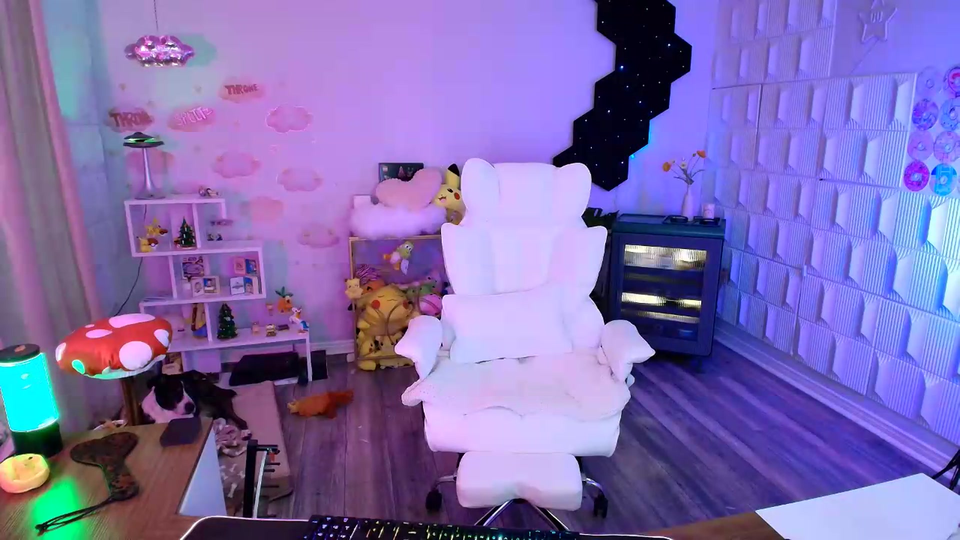 Gallery image thumbnail from kaydolll's myfreecams stream on, 08/28/2026, 07:58 image 13 of 20
