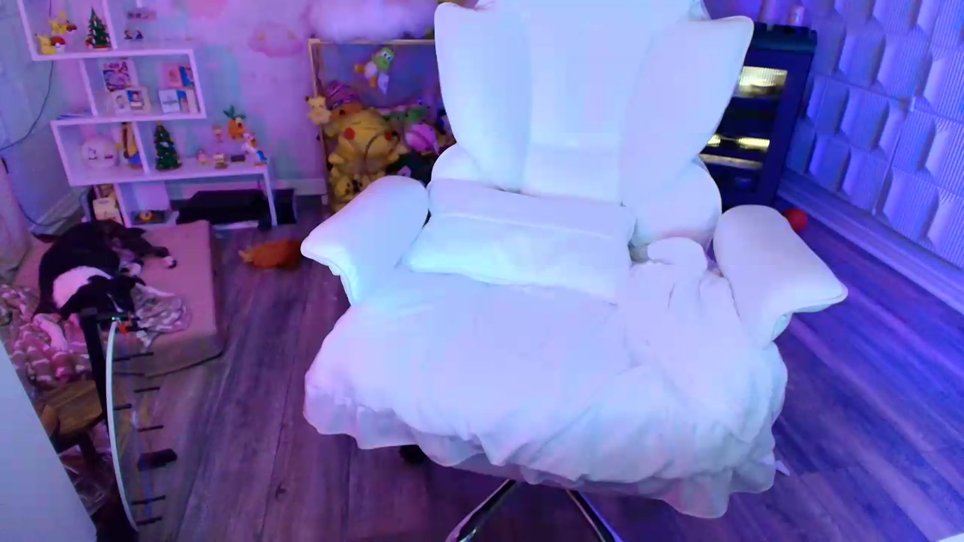Gallery image thumbnail from kaydolll's myfreecams stream on, 08/29/2026, 11:32 image 11 of 20