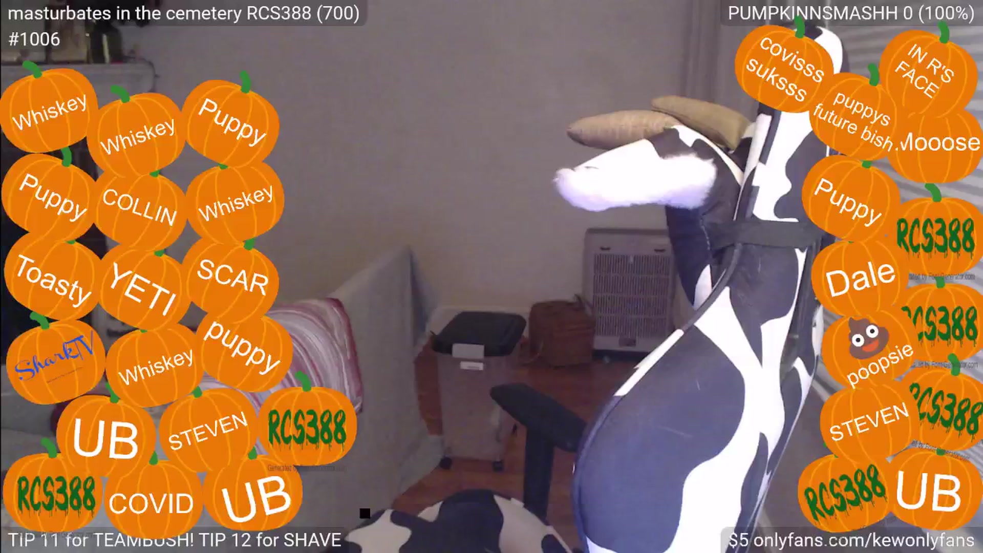 Gallery image thumbnail from kewcumber's myfreecams stream on, 10/26/2024, 02:10 image 14 of 20