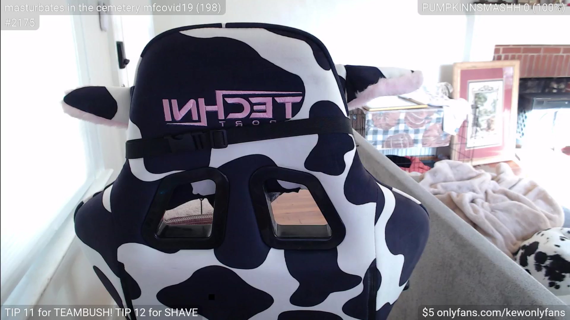 Gallery image thumbnail from kewcumber's myfreecams stream on, 11/17/2024, 20:42 image 19 of 20