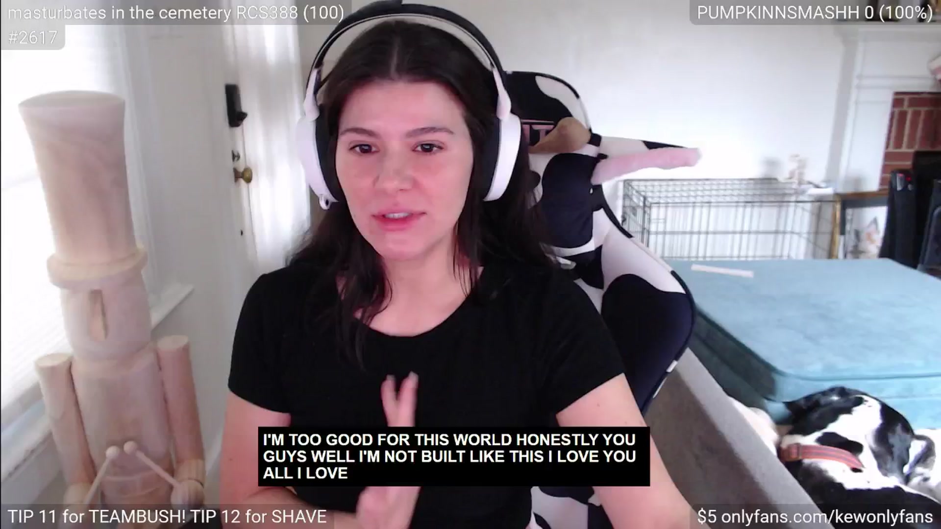 Gallery image thumbnail from kewcumber's myfreecams stream on, 11/23/2024, 20:35 image 19 of 20