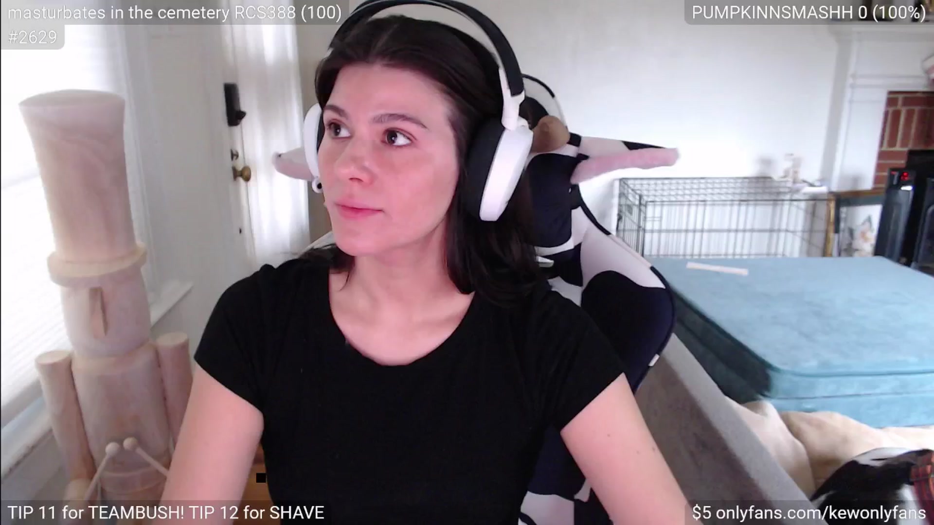 Gallery image thumbnail from kewcumber's myfreecams stream on, 11/23/2024, 20:35 image 17 of 20