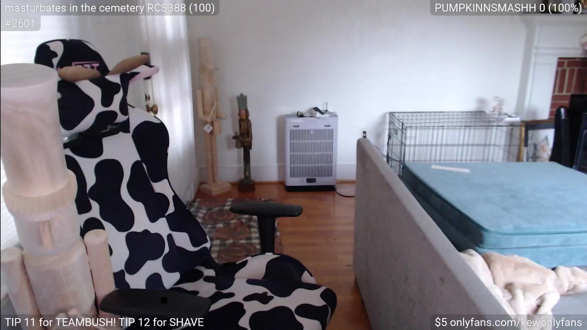 Gallery image thumbnail from kewcumber's myfreecams stream on, 11/23/2024, 20:35 image 20 of 20