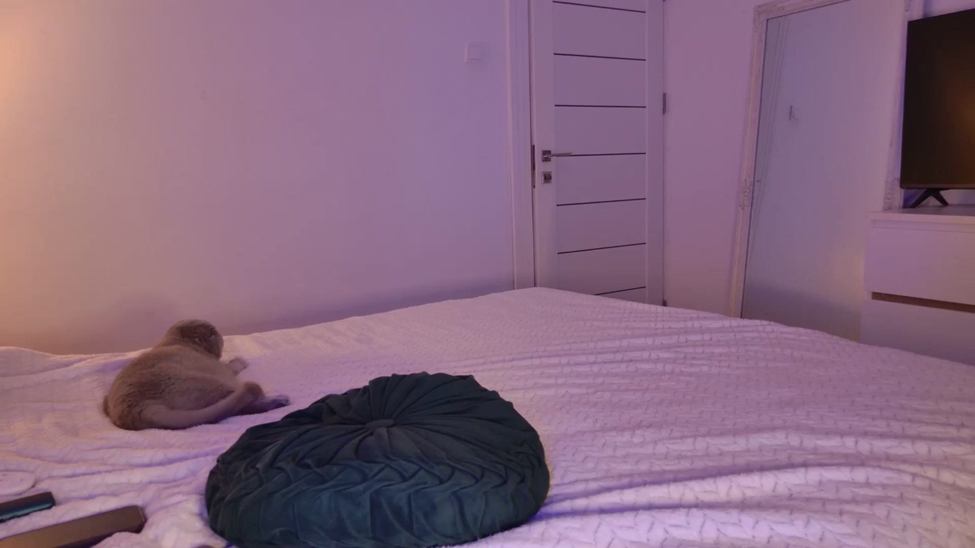 Gallery image thumbnail from key_ssy_'s myfreecams stream on, 08/13/2025, 20:19 image 5 of 20