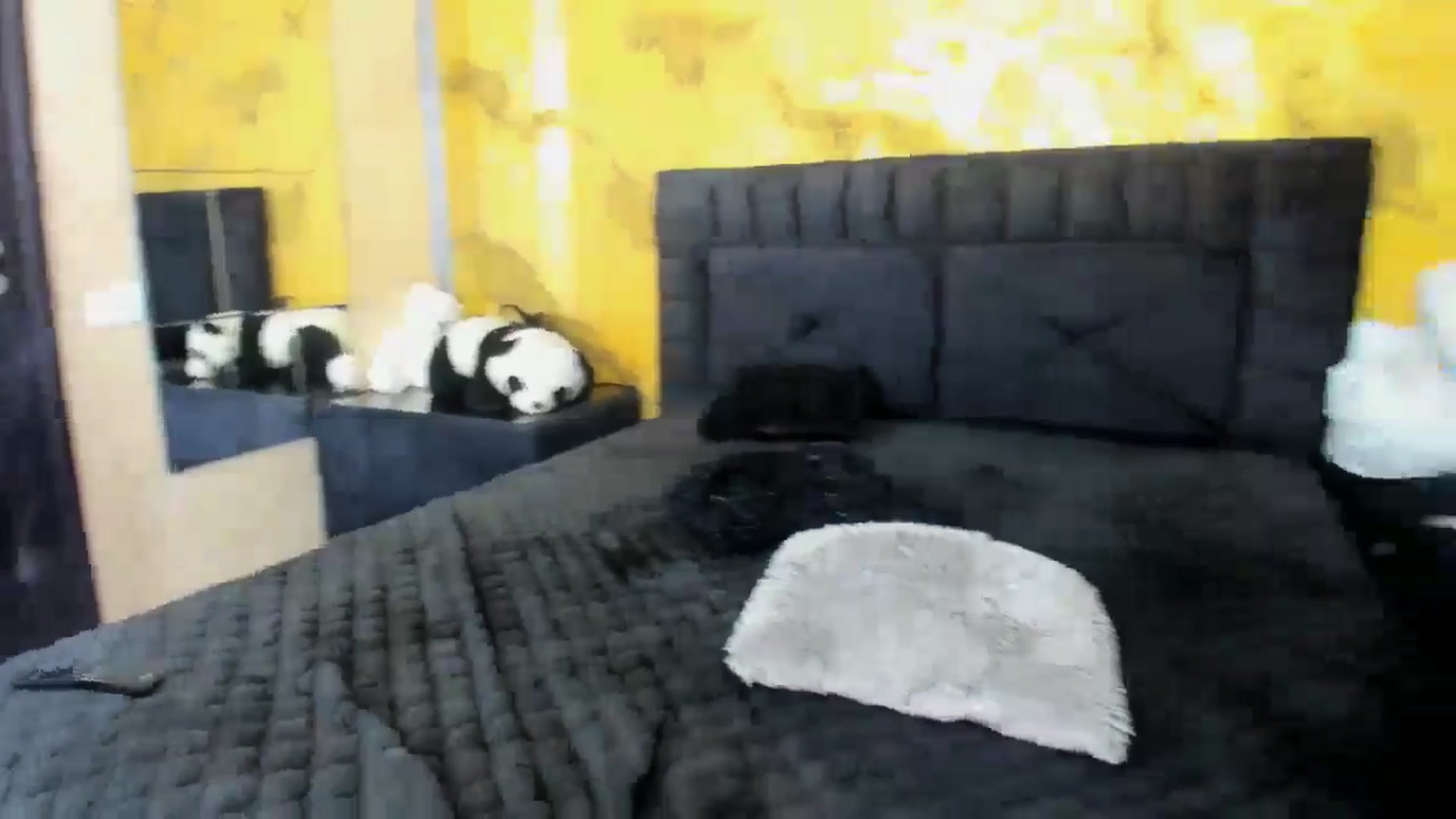 Gallery image thumbnail from kikazxx's myfreecams stream on, 11/05/2024, 24:12 image 10 of 20