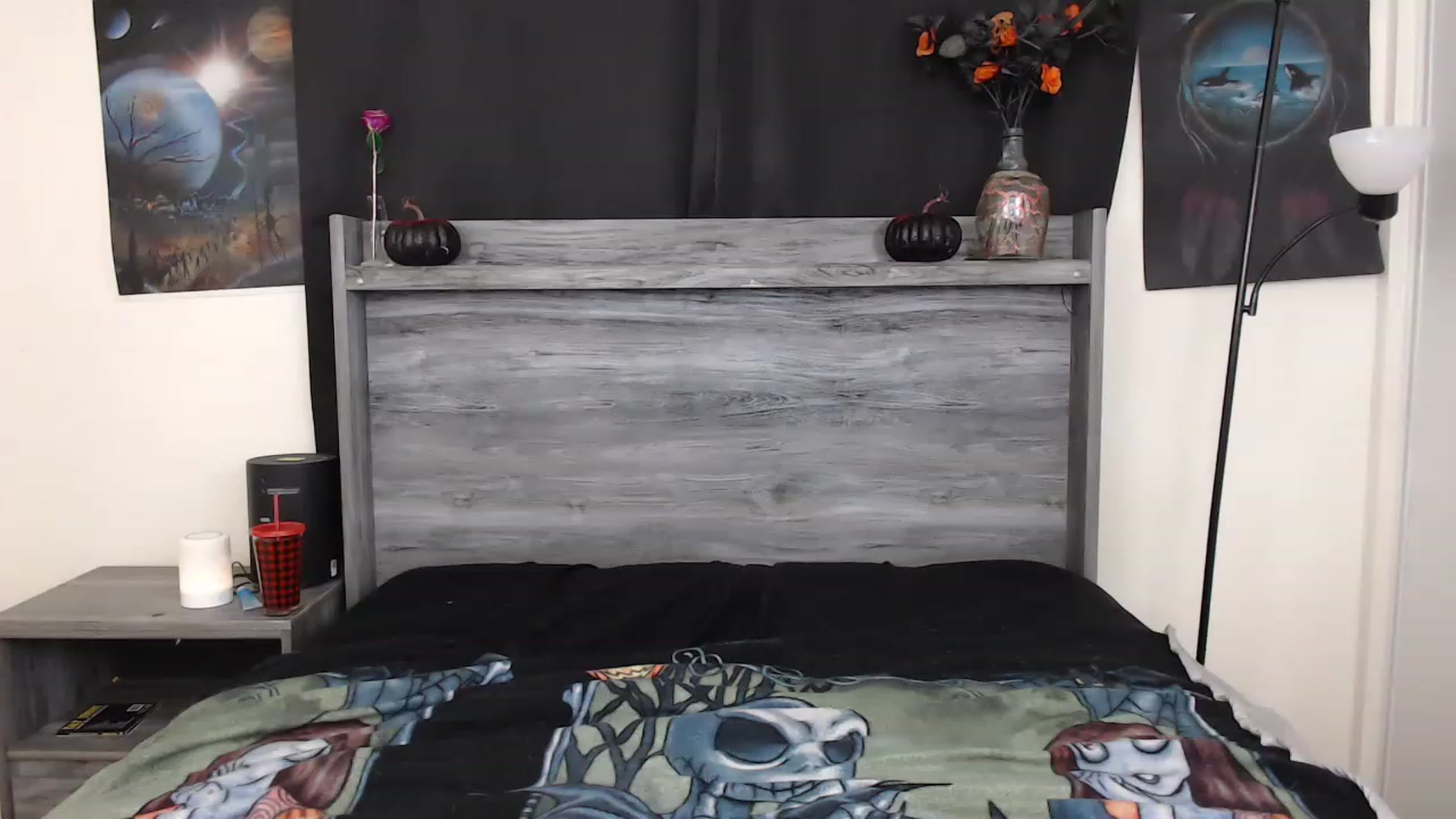Gallery image thumbnail from kikkijay's myfreecams stream on, 11/16/2022, 01:38 image 2 of 20