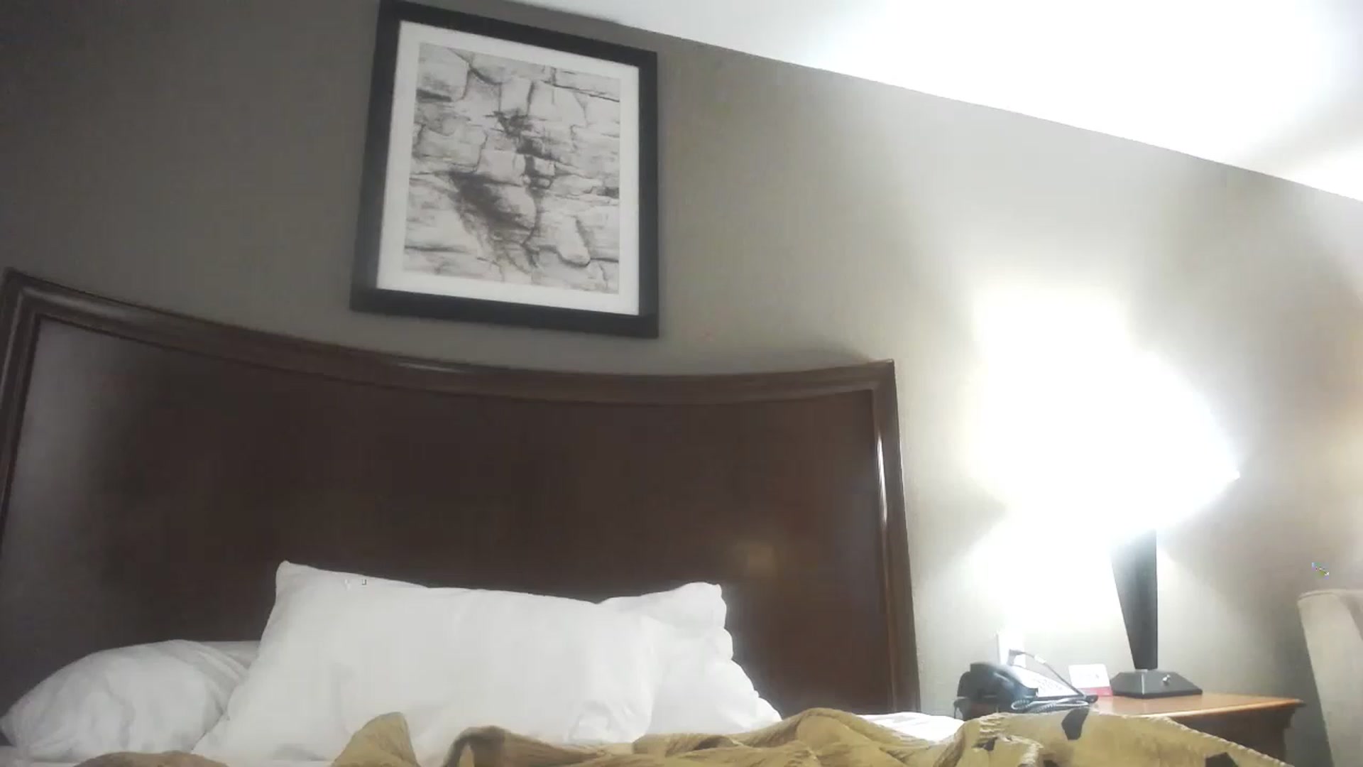 Gallery image thumbnail from kirbyfae's myfreecams stream on, 08/21/2023, 16:06 image 5 of 20