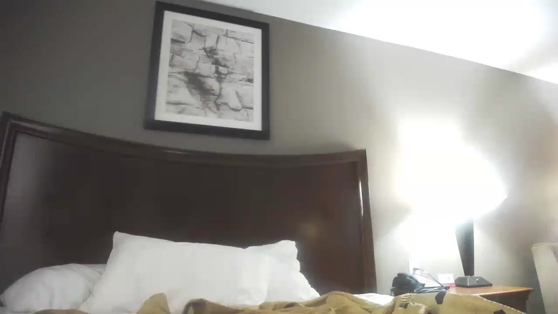 Gallery image thumbnail from kirbyfae's myfreecams stream on, 08/21/2023, 16:06 image 6 of 20