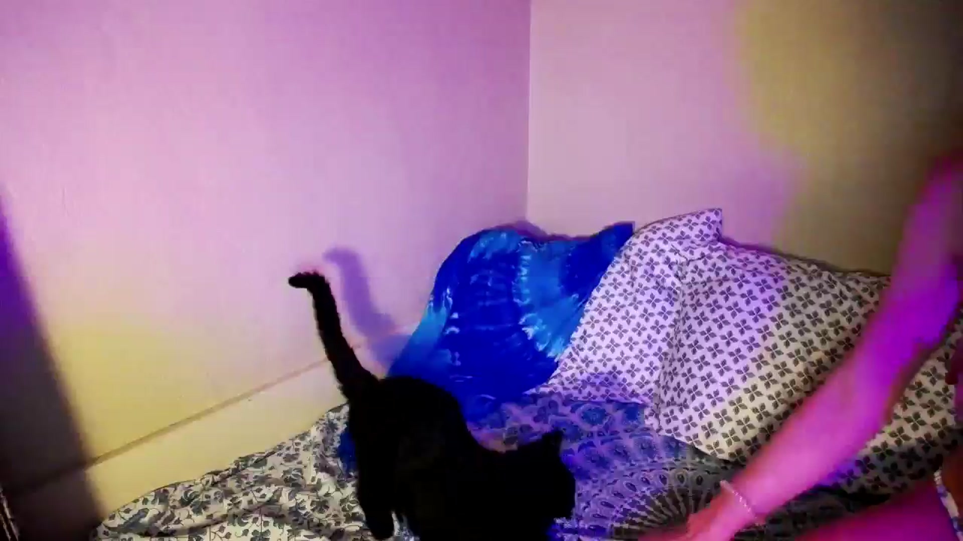 Gallery image thumbnail from kirbyfae's myfreecams stream on, 07/02/2024, 07:32 image 18 of 20