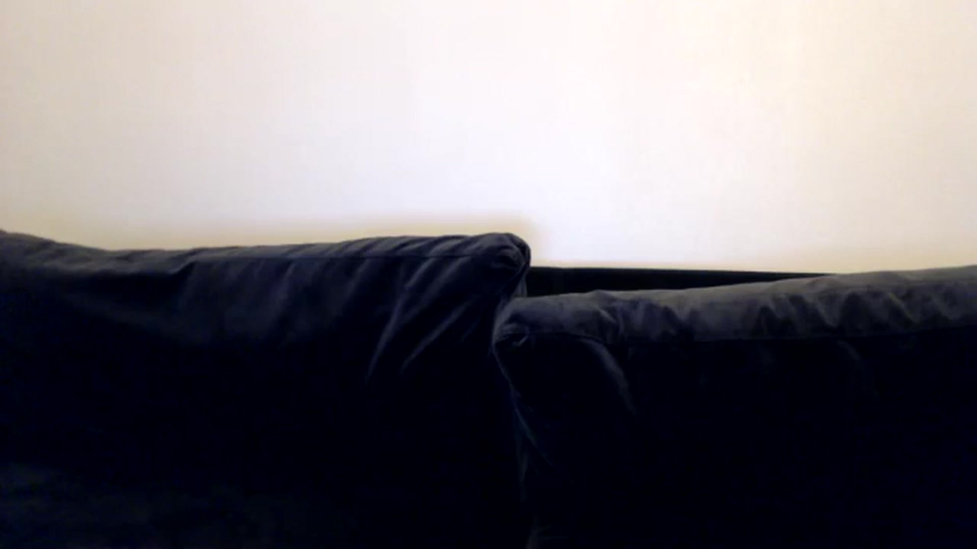 Gallery image thumbnail from kitten___'s myfreecams stream on, 05/26/2025, 06:22 image 20 of 20