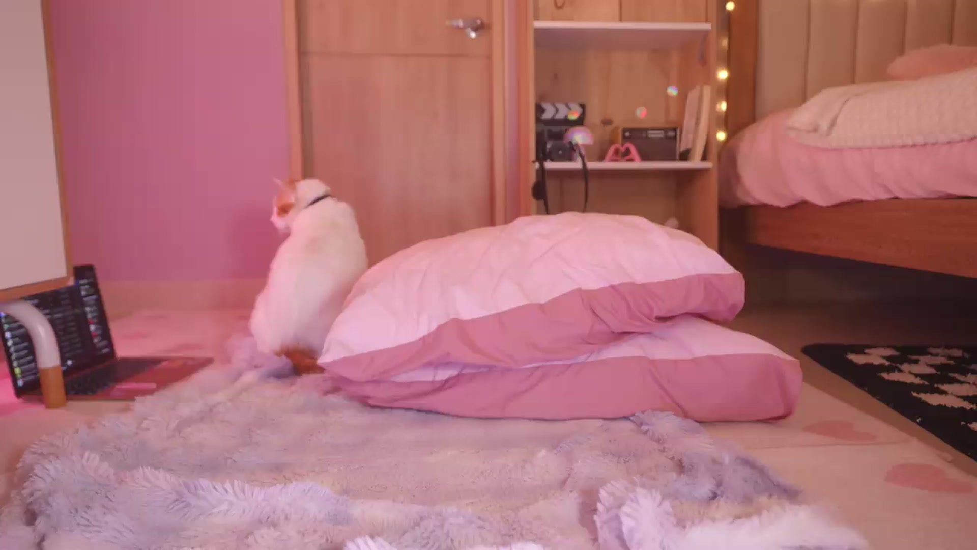 Gallery image thumbnail from kittennmoon's myfreecams stream on, 07/23/2026, 04:29 image 3 of 20