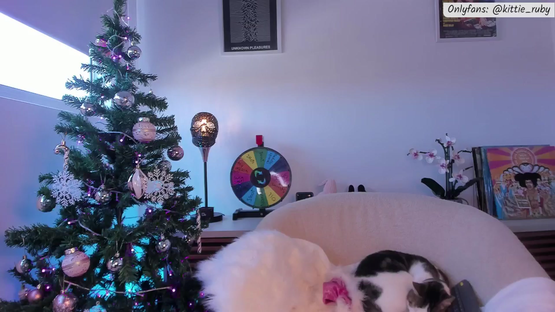 Gallery image thumbnail from kittieEVIL's myfreecams stream on, 12/10/2025, 17:07 image 18 of 20