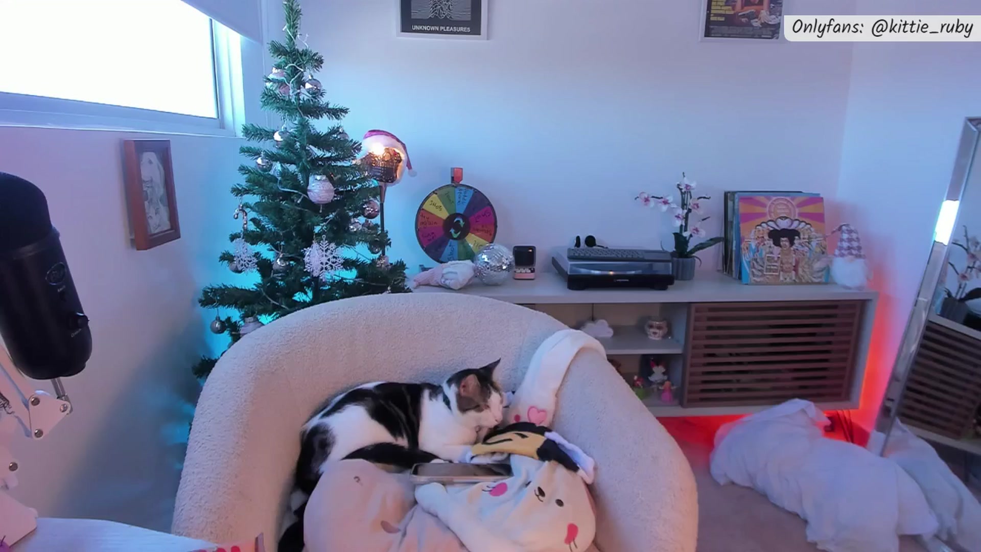 Gallery image thumbnail from kittieEVIL's myfreecams stream on, 12/26/2025, 18:13 image 13 of 20