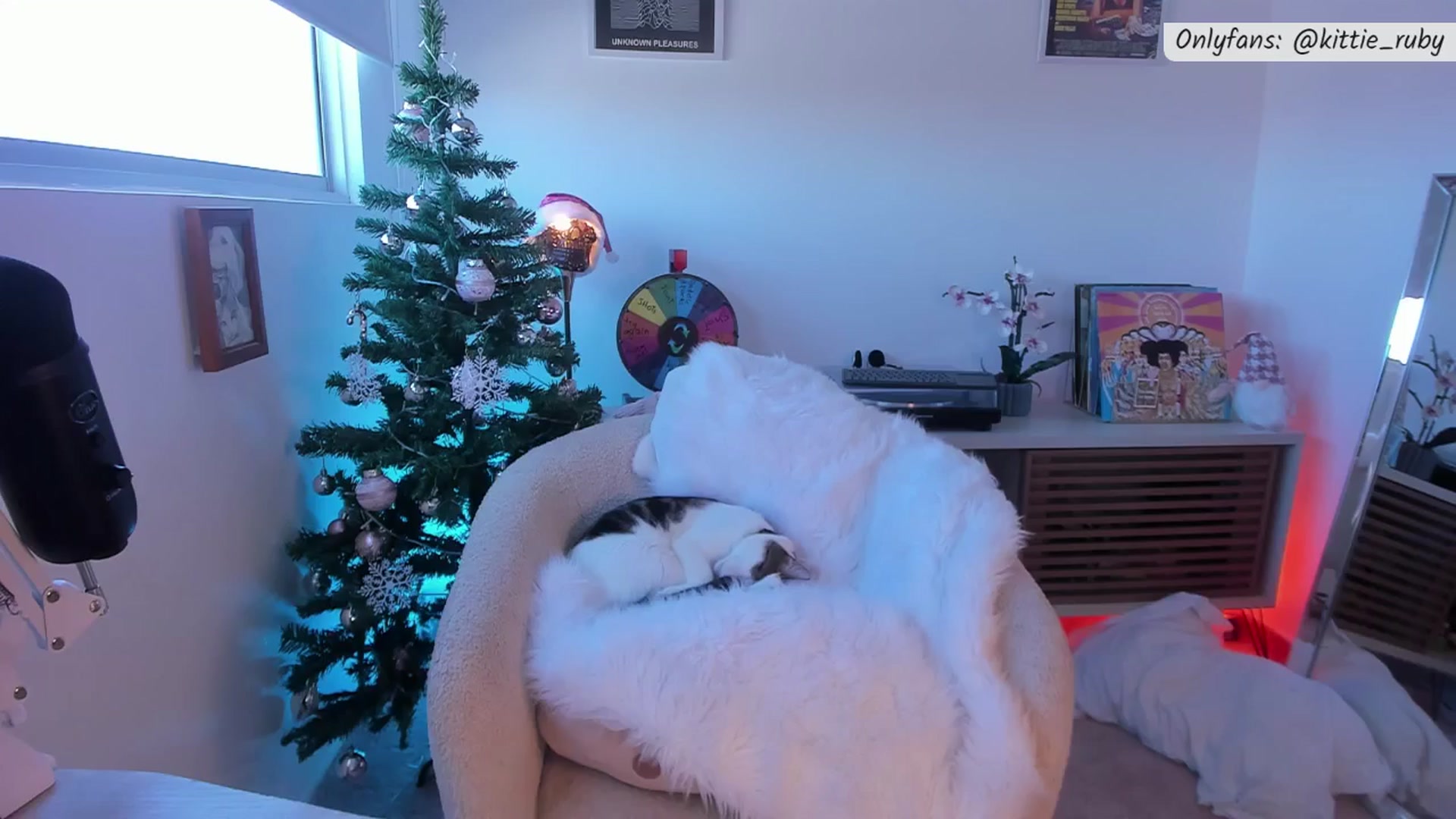 Gallery image thumbnail from kittieEVIL's myfreecams stream on, 12/26/2025, 18:13 image 1 of 20