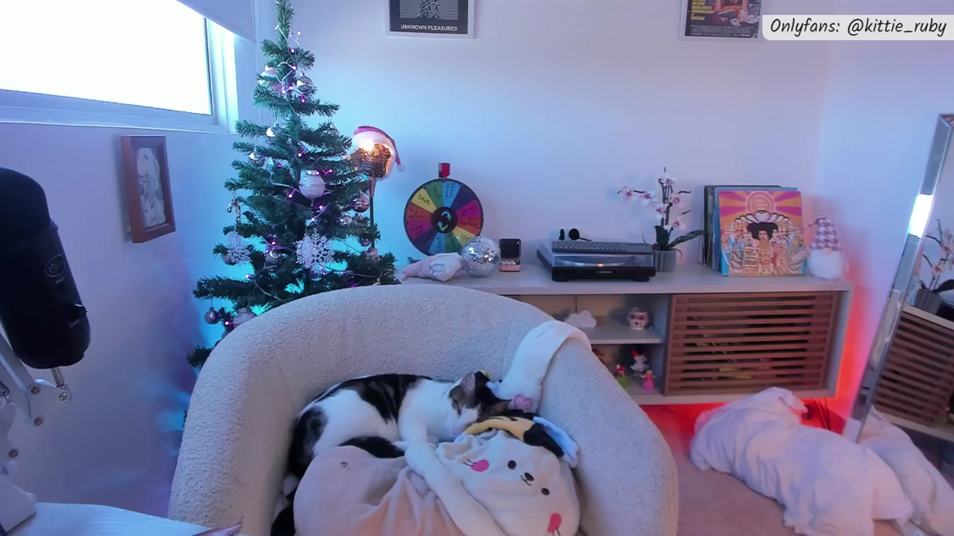 Gallery image thumbnail from kittieEVIL's myfreecams stream on, 12/26/2025, 18:13 image 16 of 20