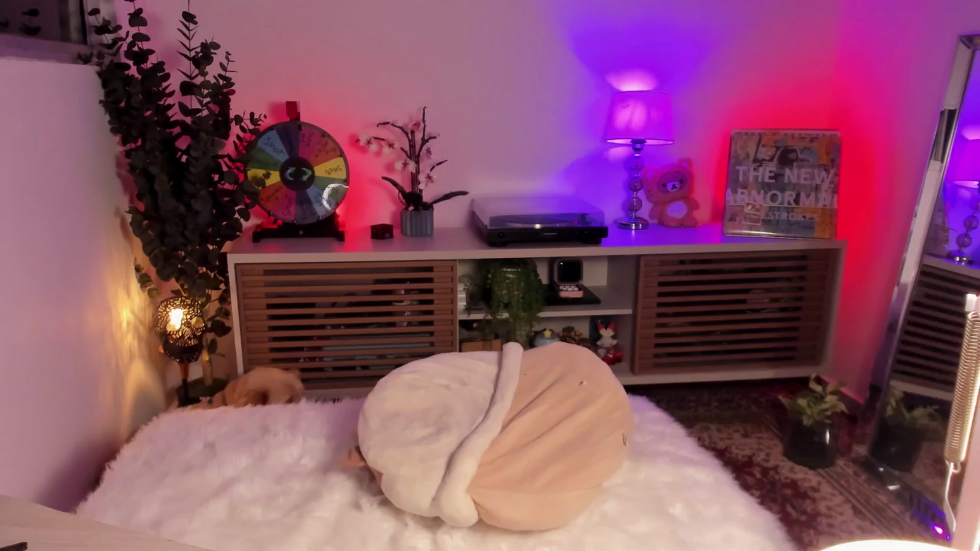 Gallery image thumbnail from kittieEVIL's myfreecams stream on, 02/10/2026, 02:40 image 6 of 20