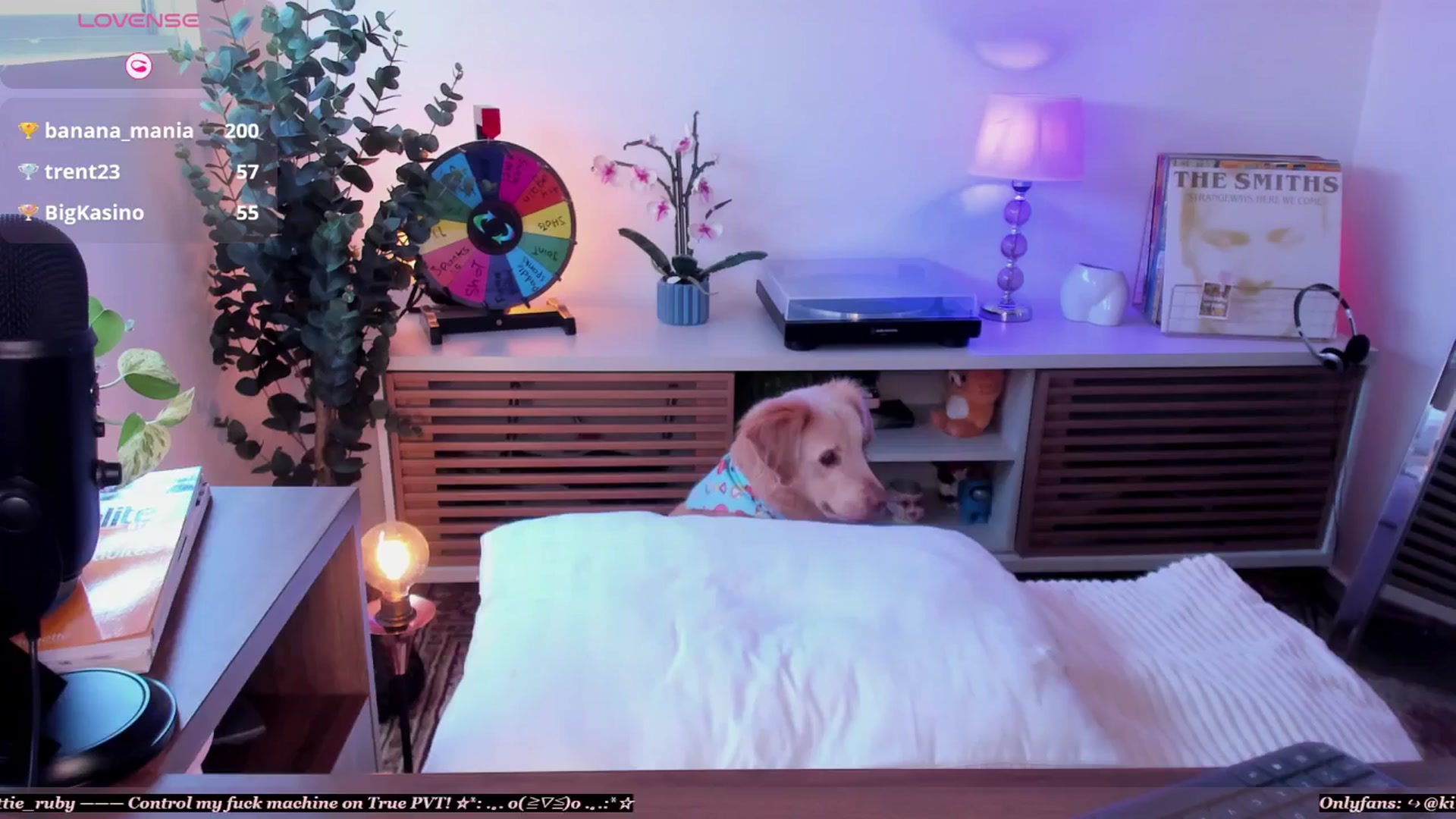 Gallery image thumbnail from kittieEVIL's myfreecams stream on, 04/03/2026, 18:01 image 10 of 20